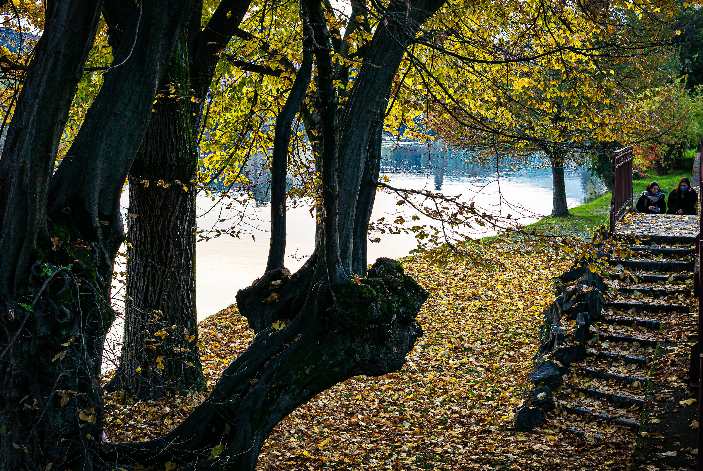 I colori dell autunno ad Ivrea