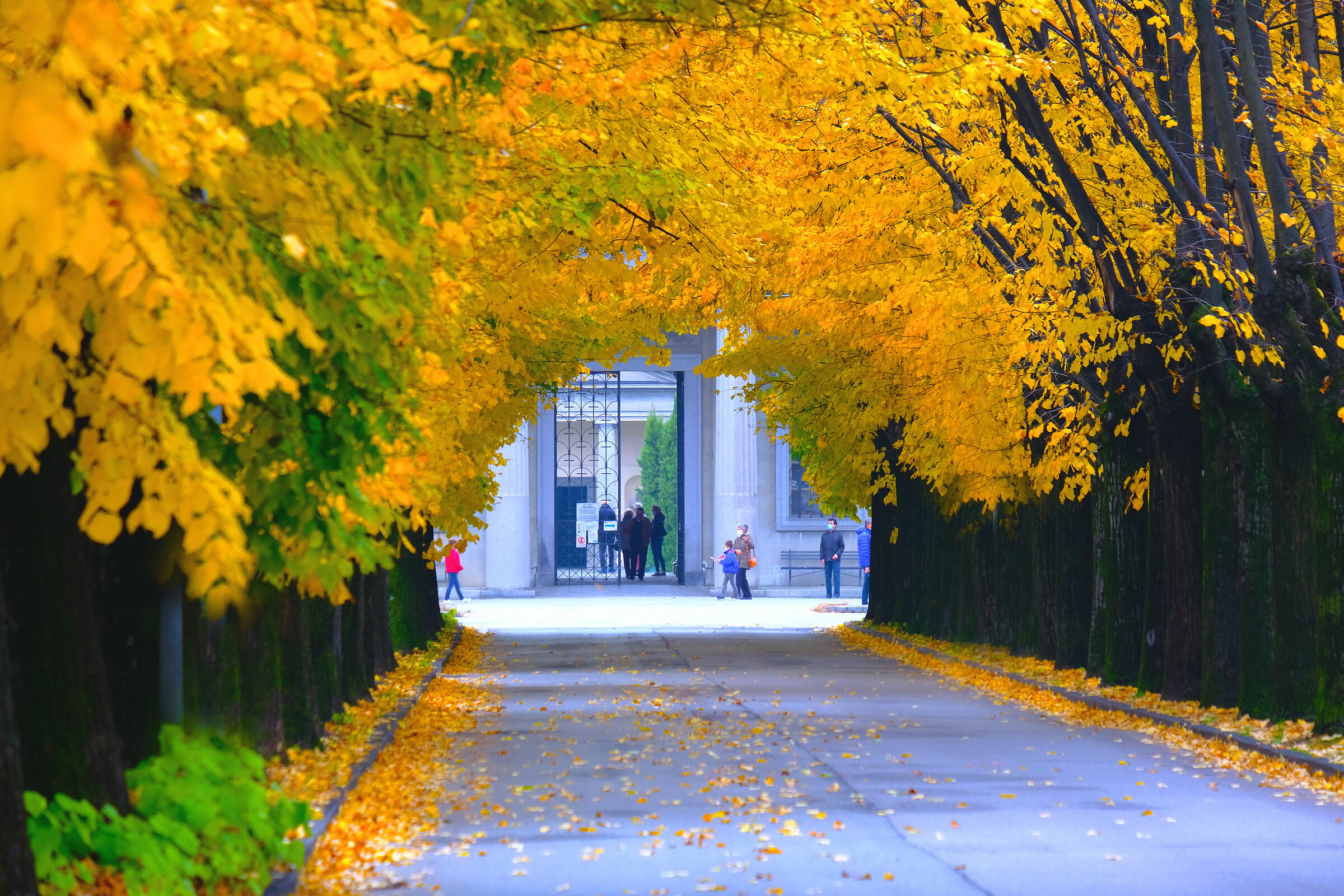 Là in fondo al vial....