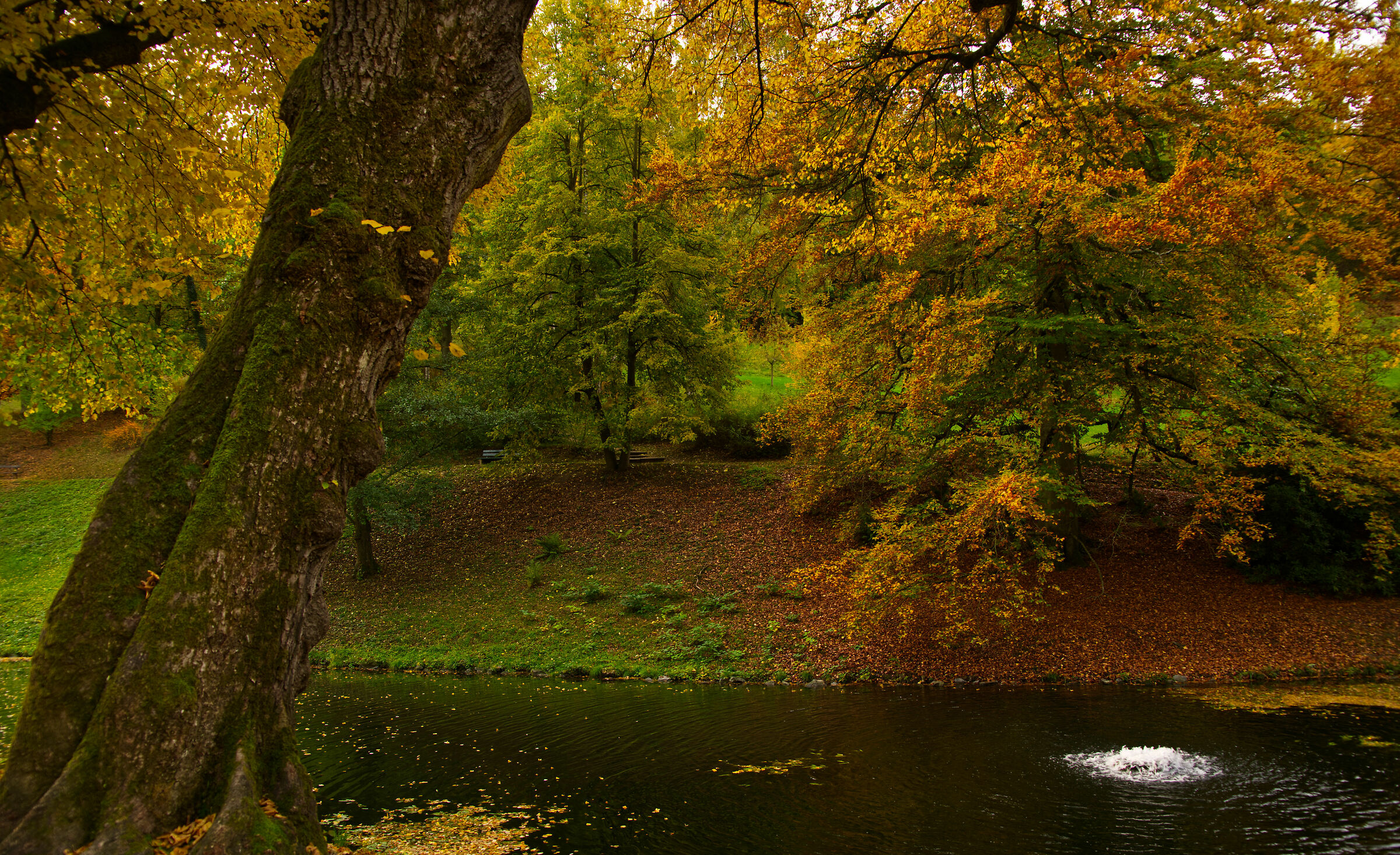 Fàrstenlager a Bensheim-Auerbach_2