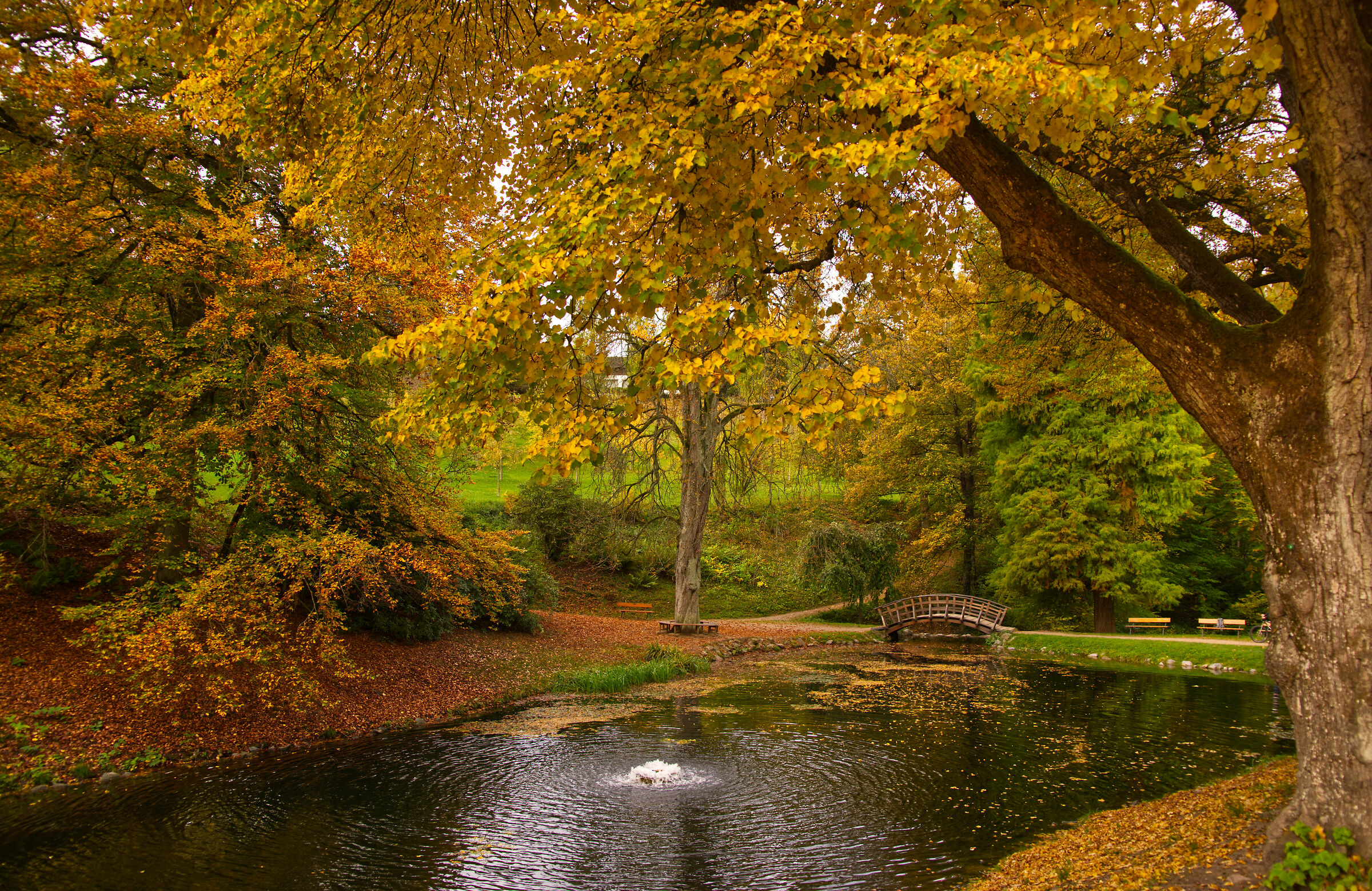 A Bensheim-Auerbach_5