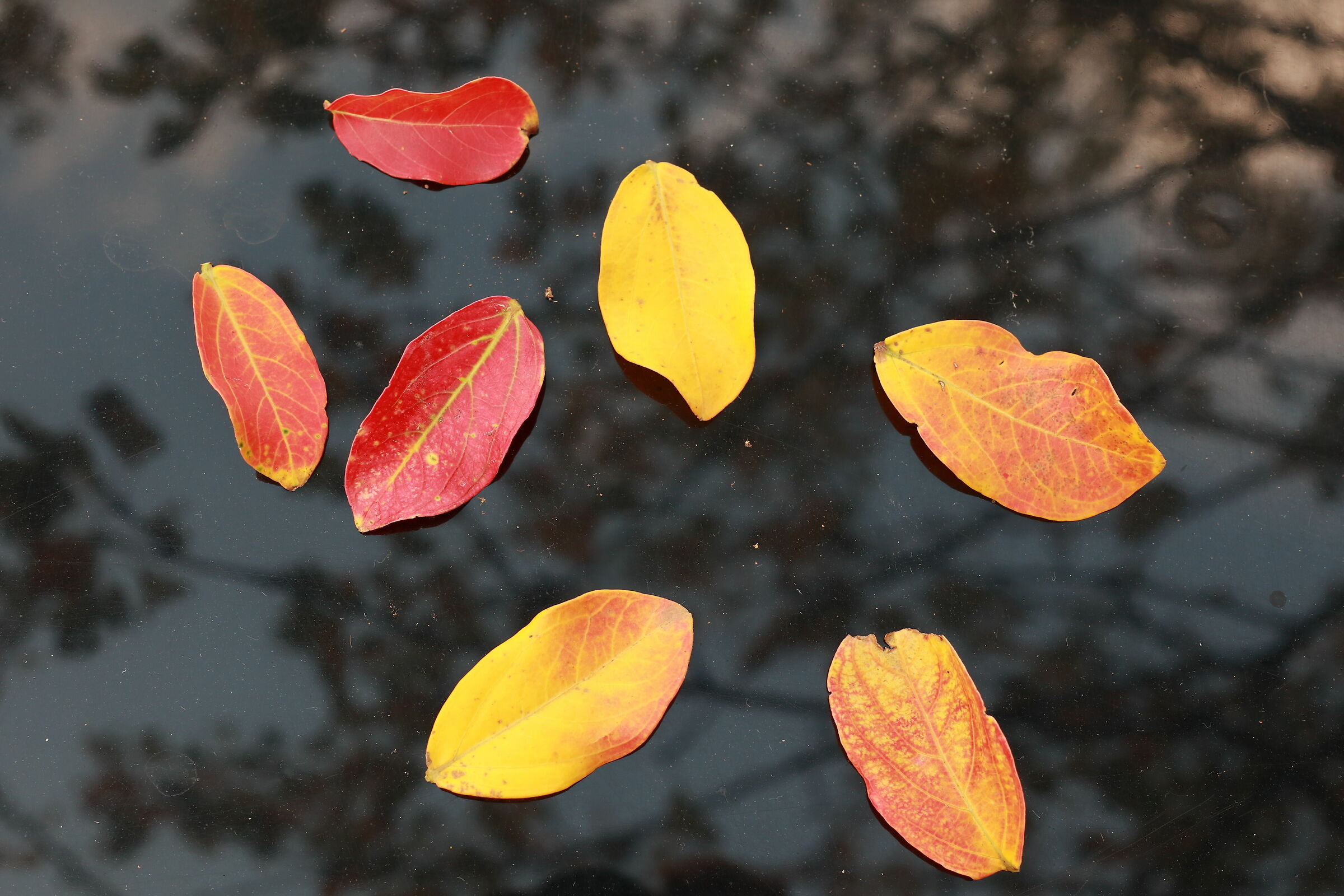 Untitled Photo
