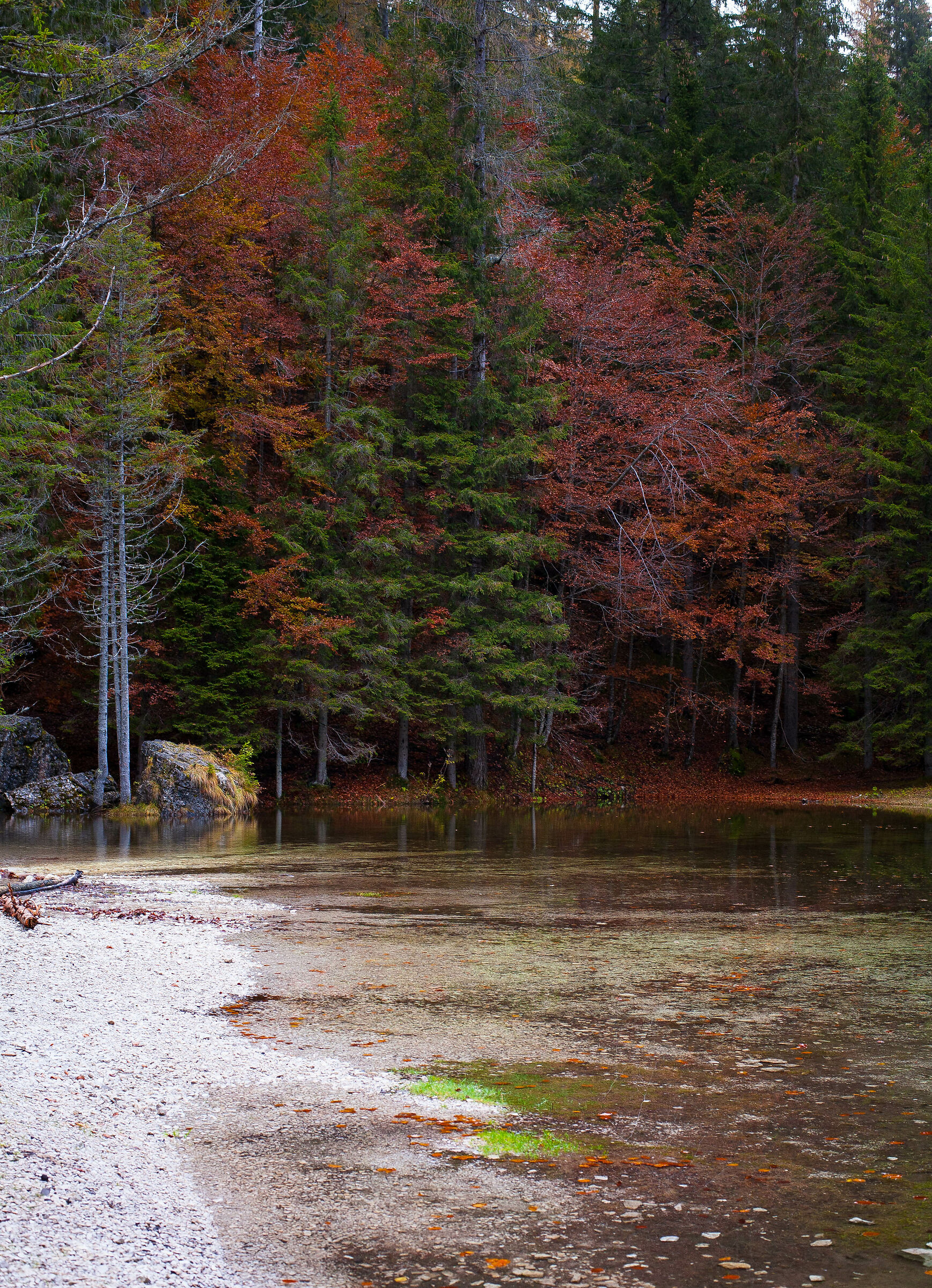 Autumn colors in Valzoldana