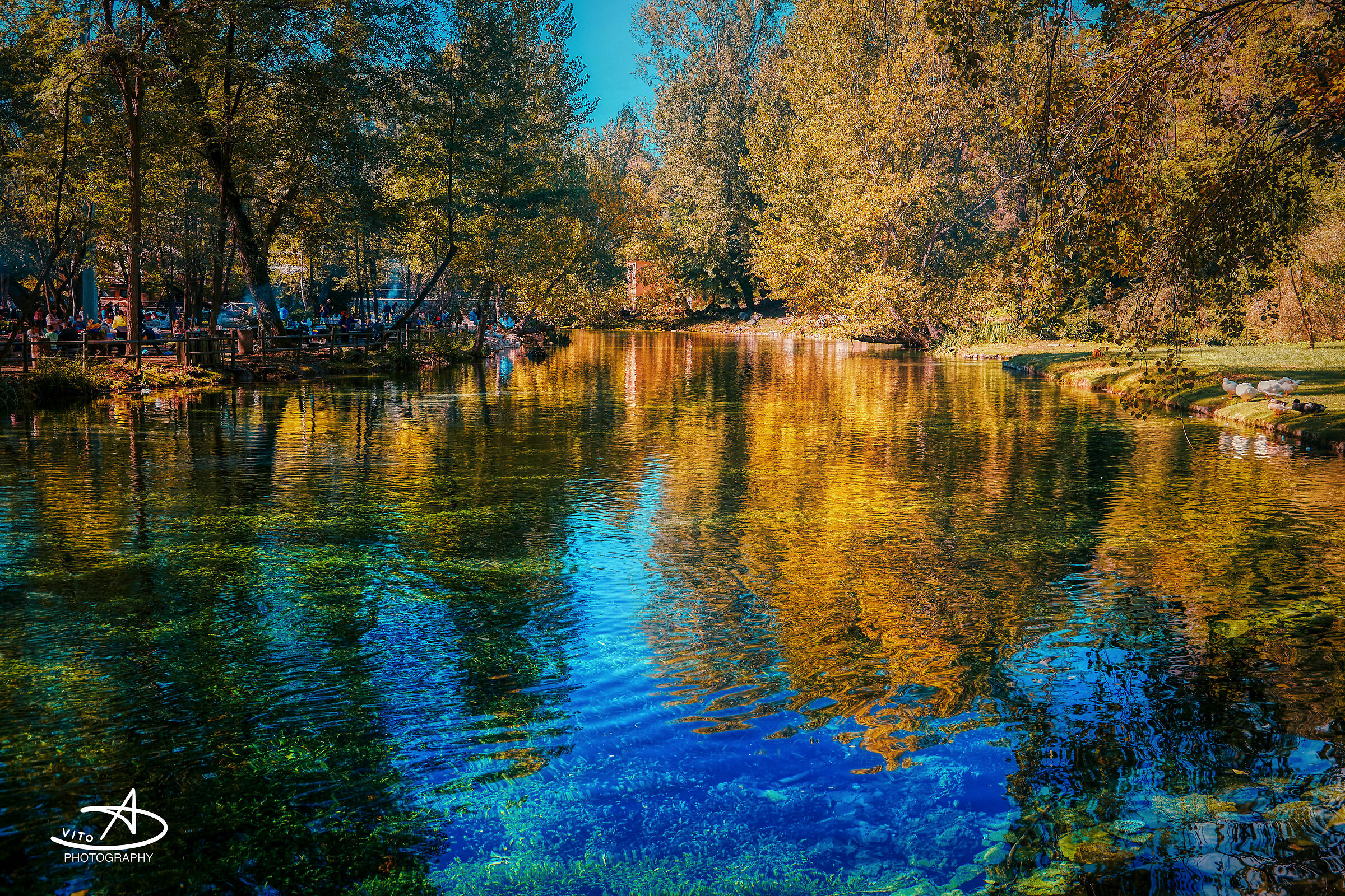 Grassano teal and orange