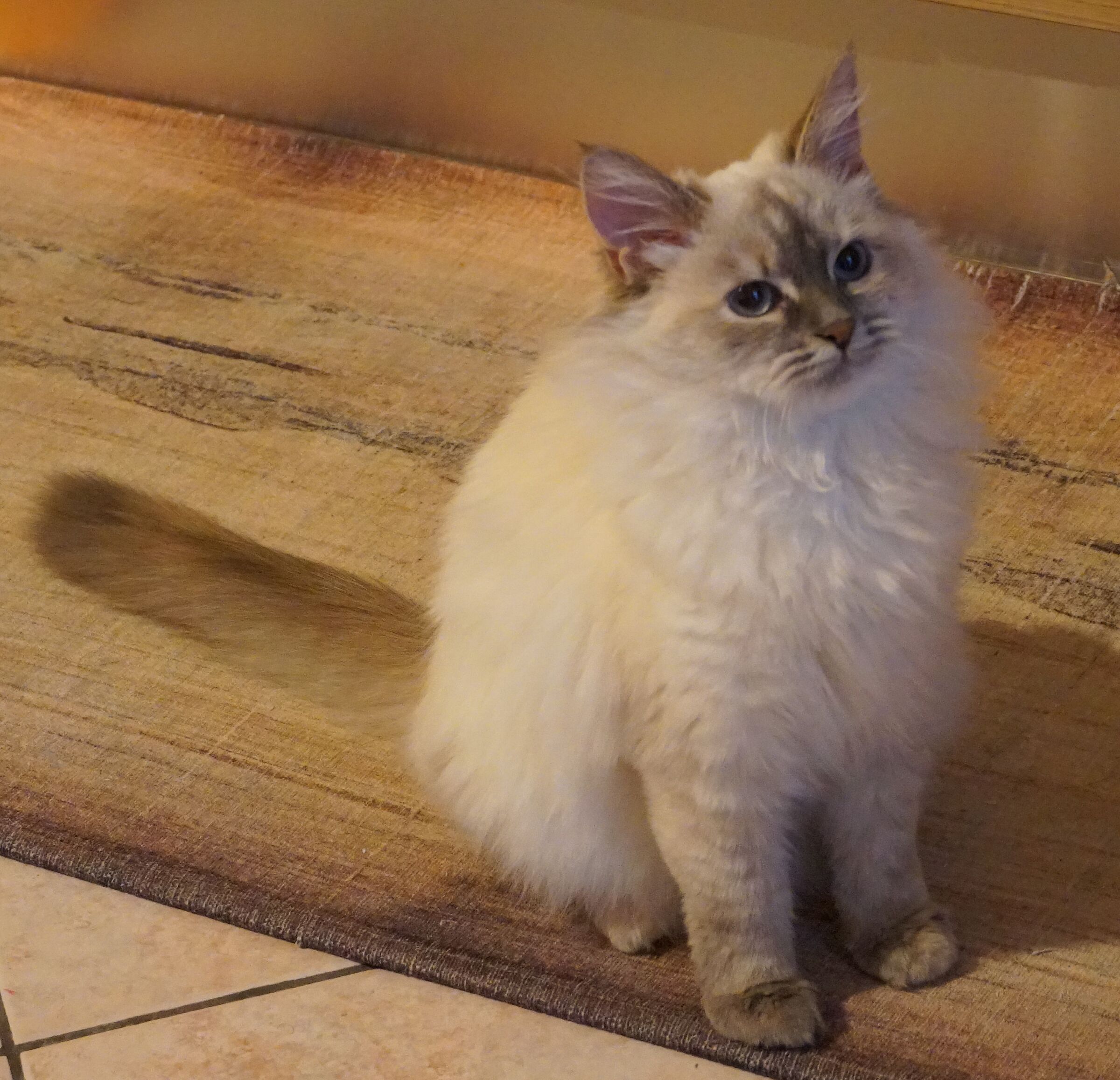 La mia nipotina Neve