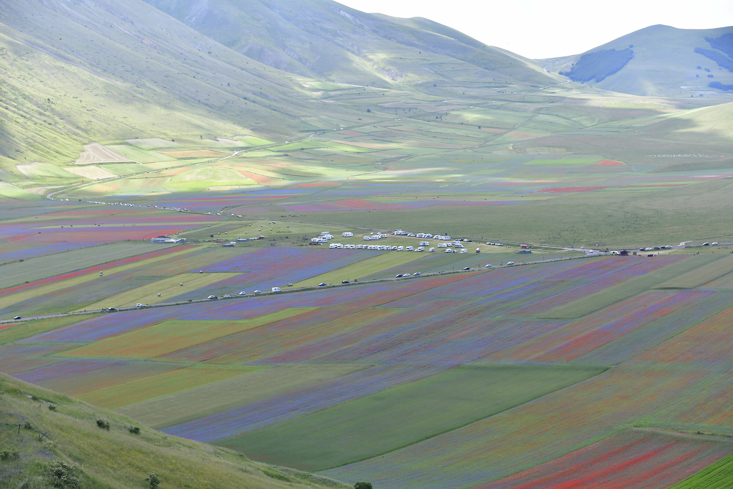 Castelluccio