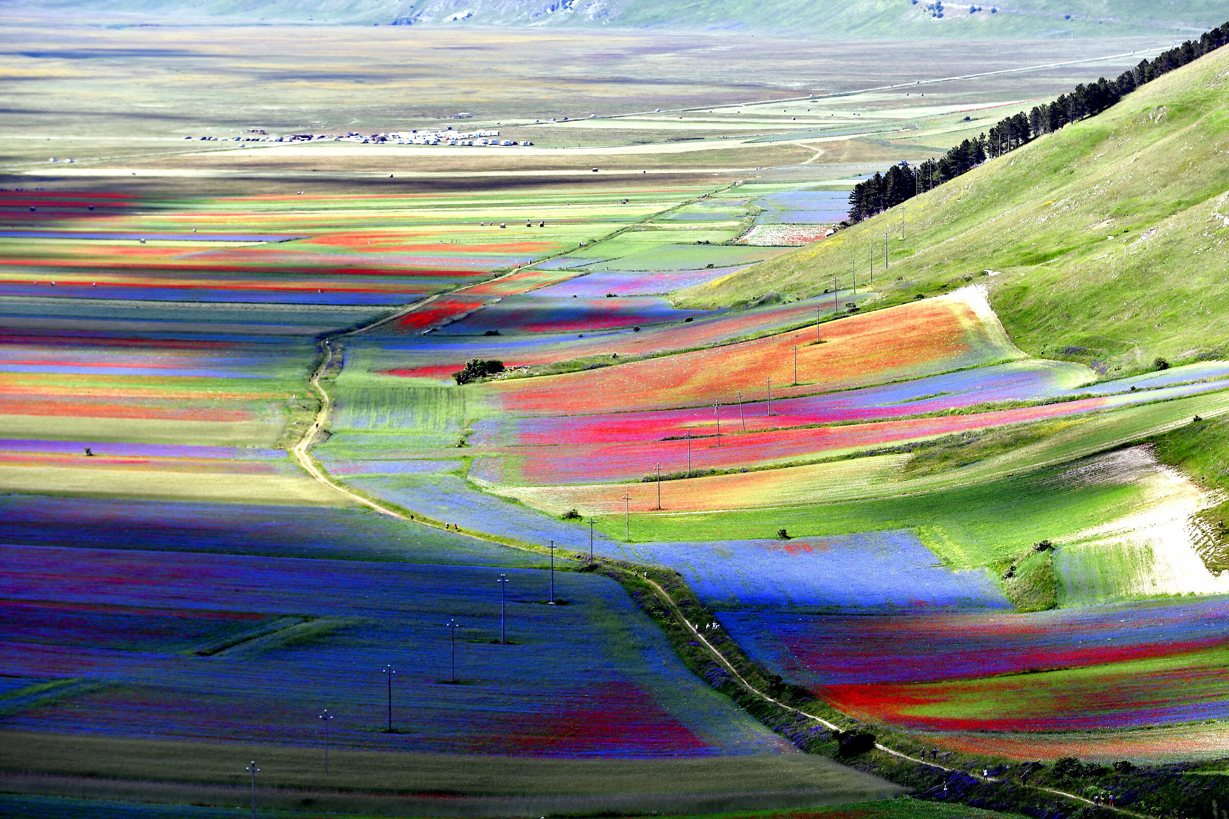Castelluccio