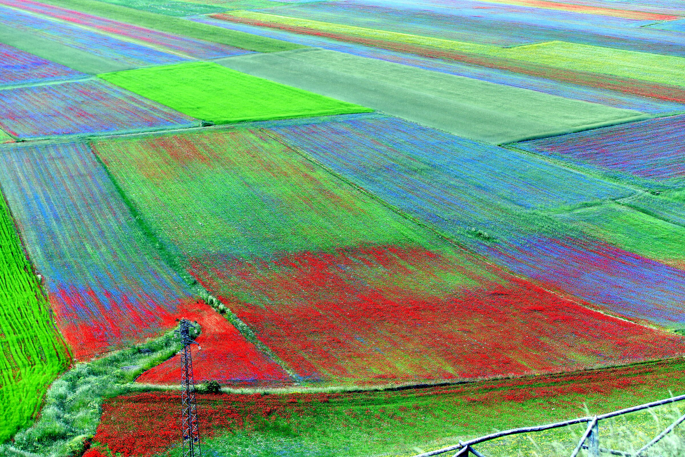 Castelluccio