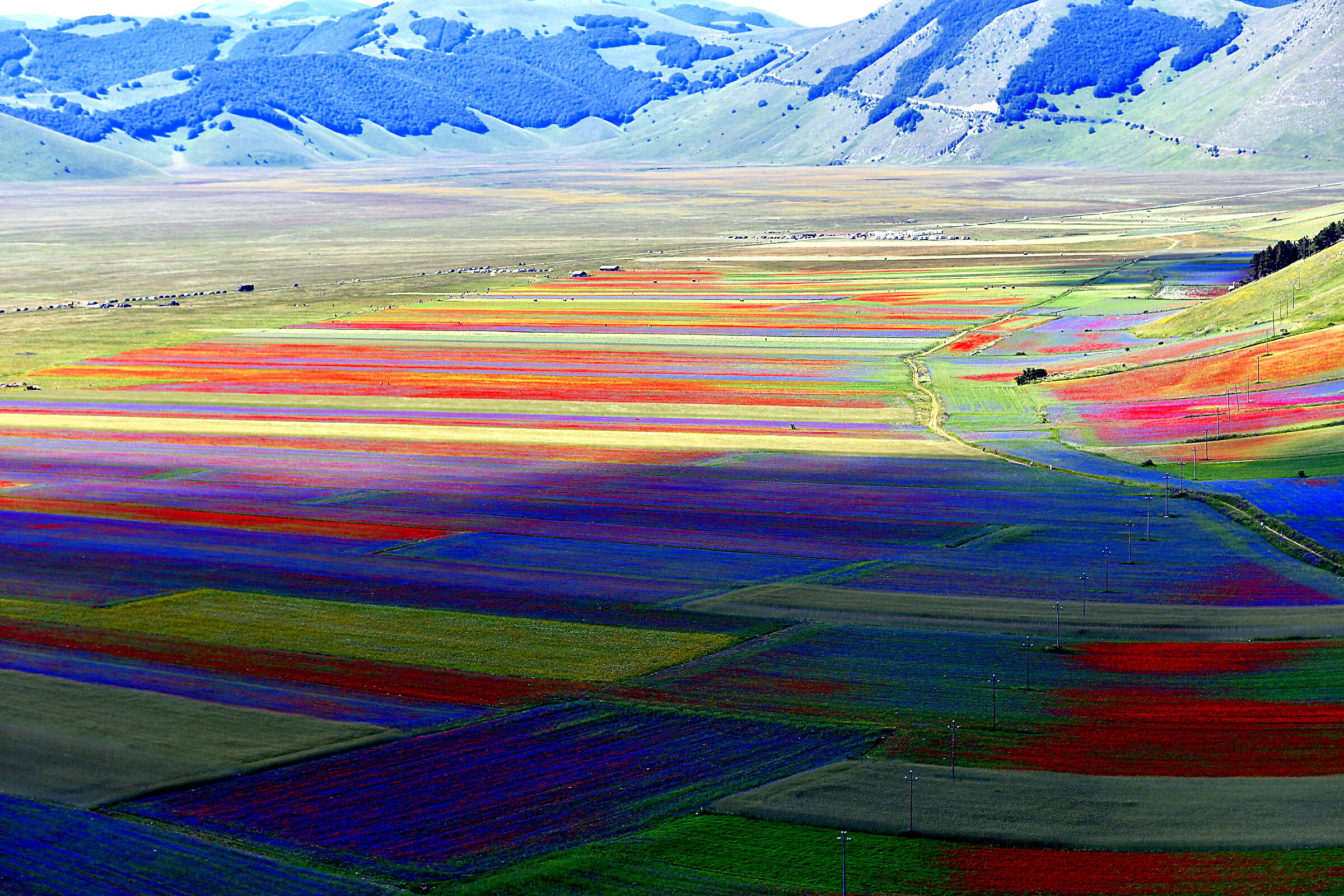 Castelluccio