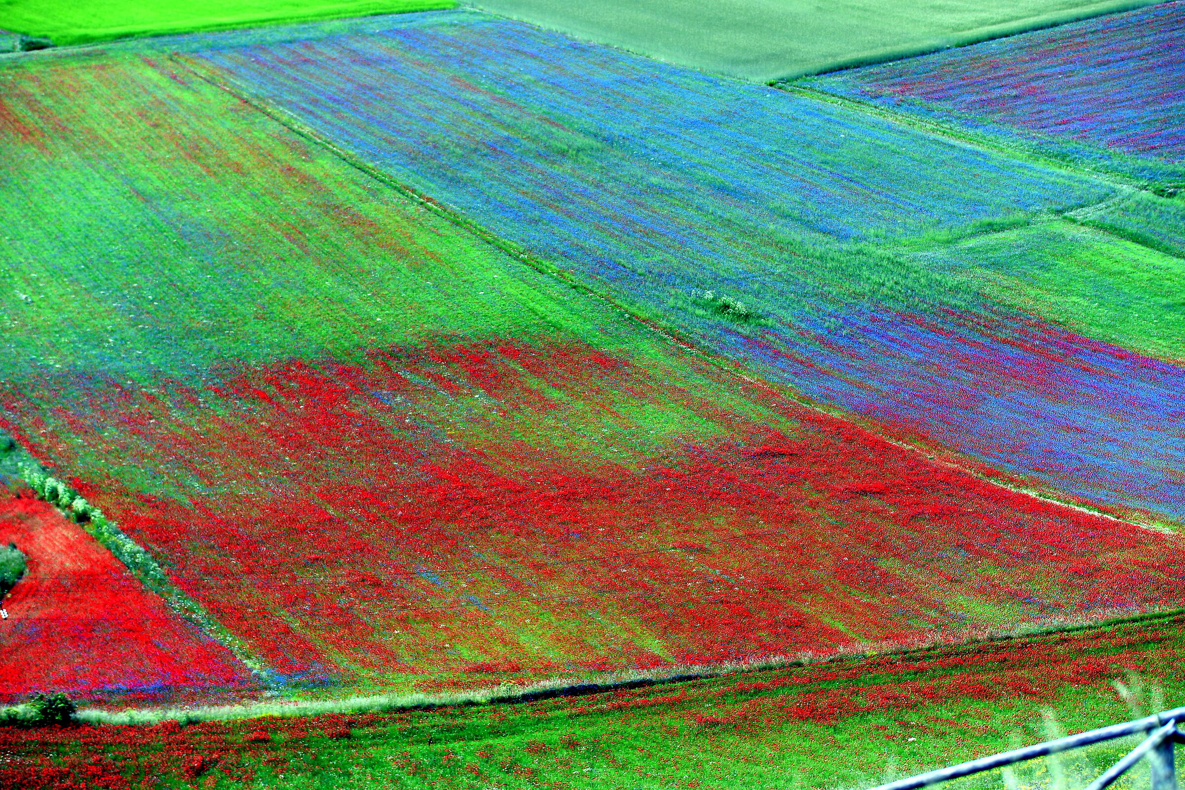 Castelluccio