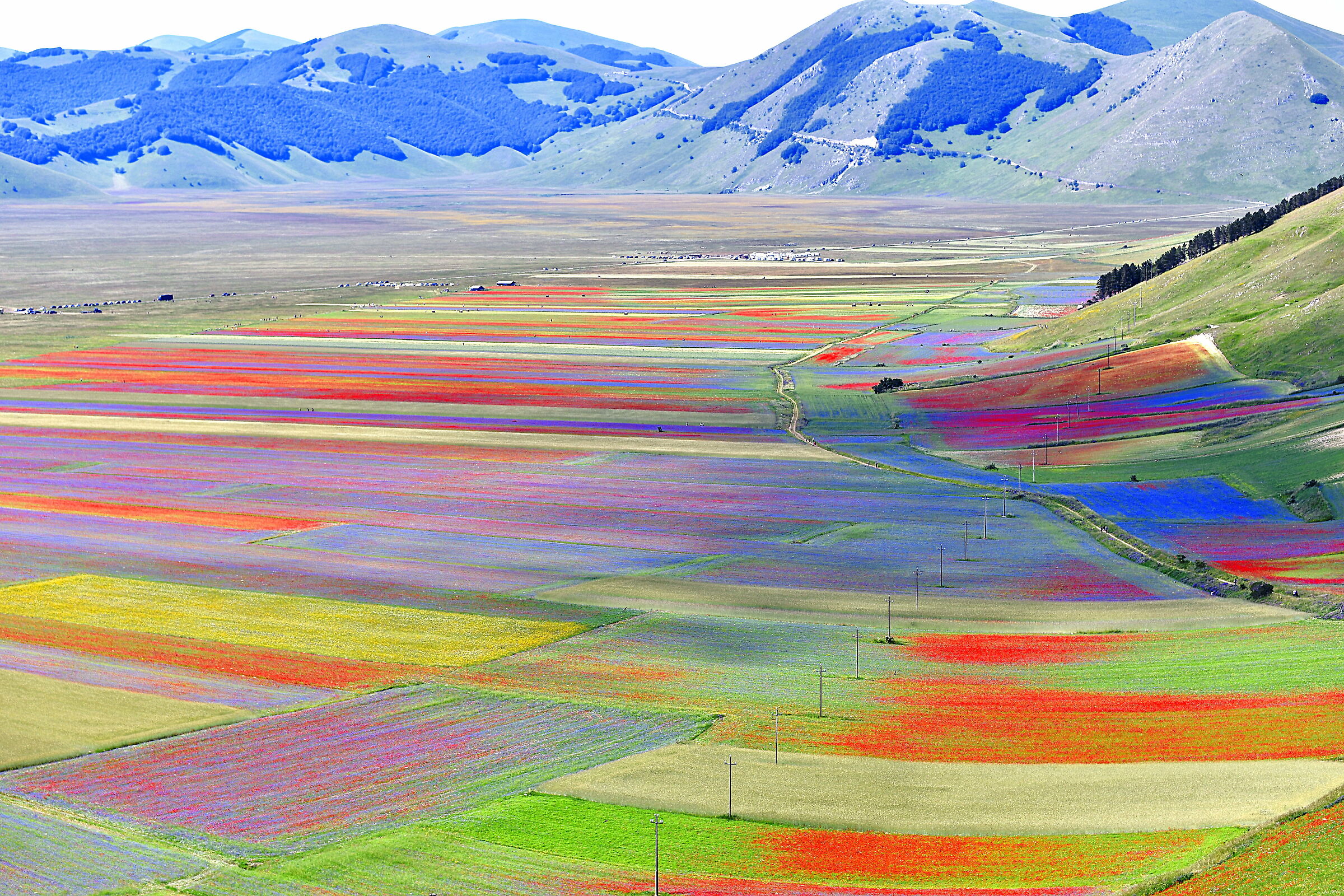 Castelluccio