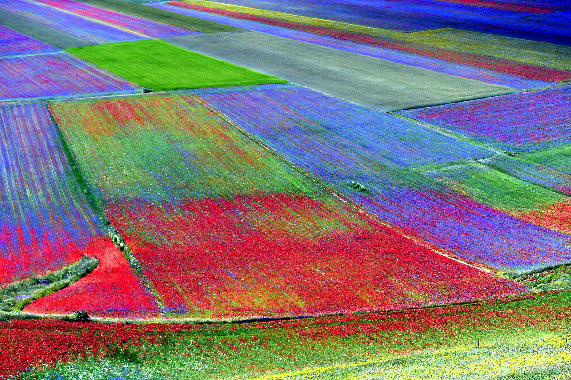 Castelluccio
