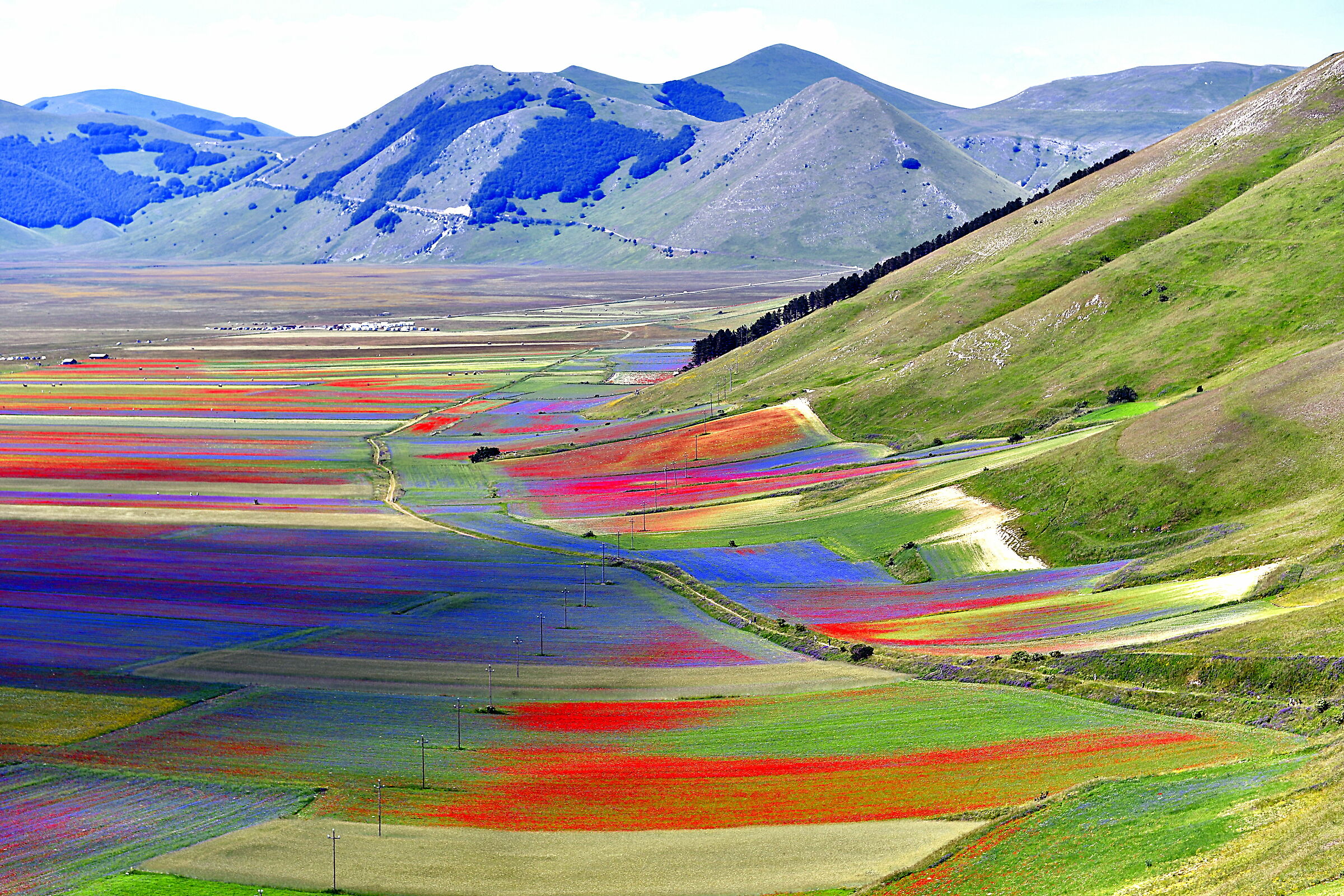 Castelluccio