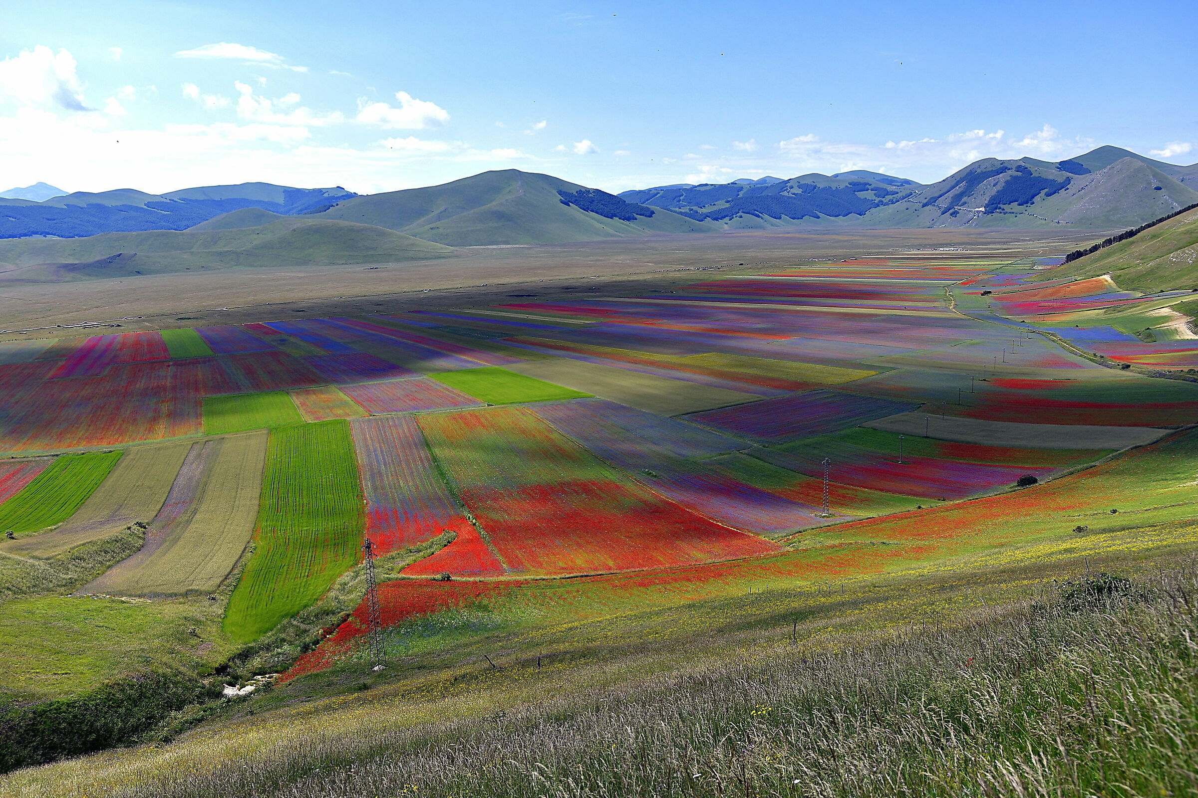 Castelluccio