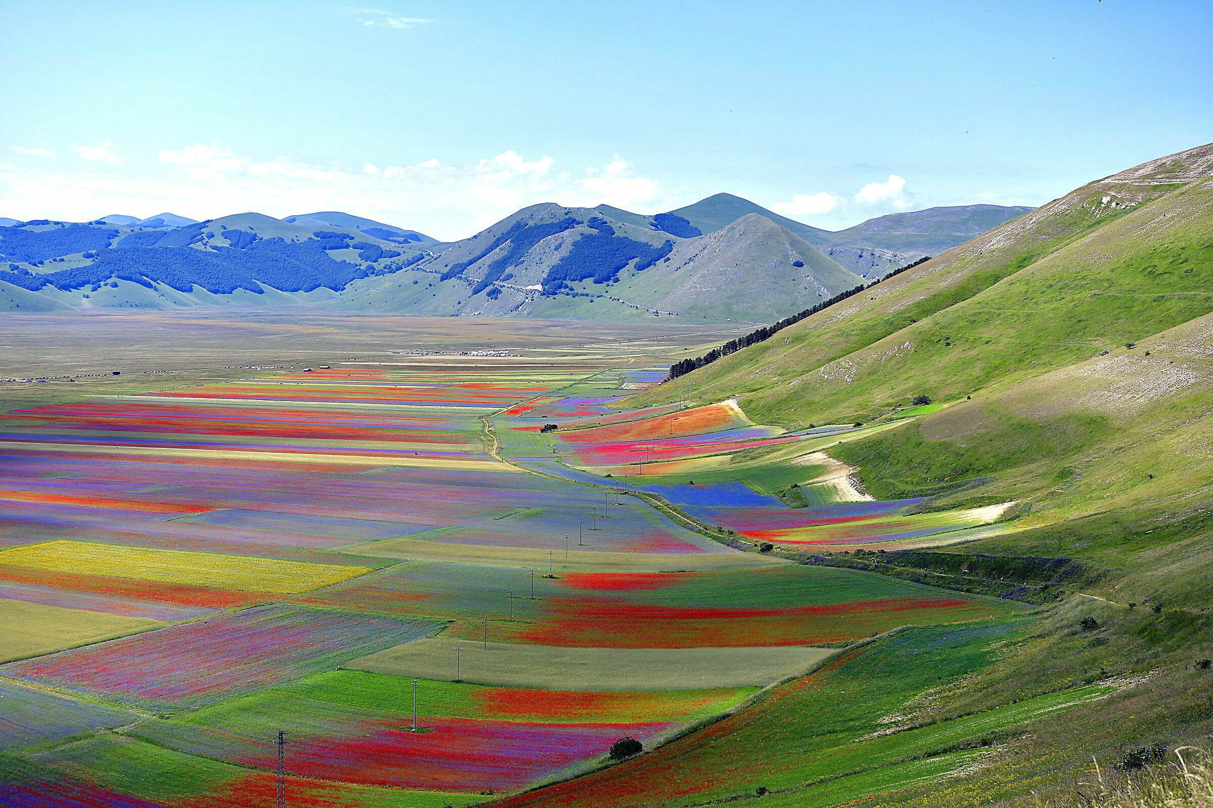 Castelluccio