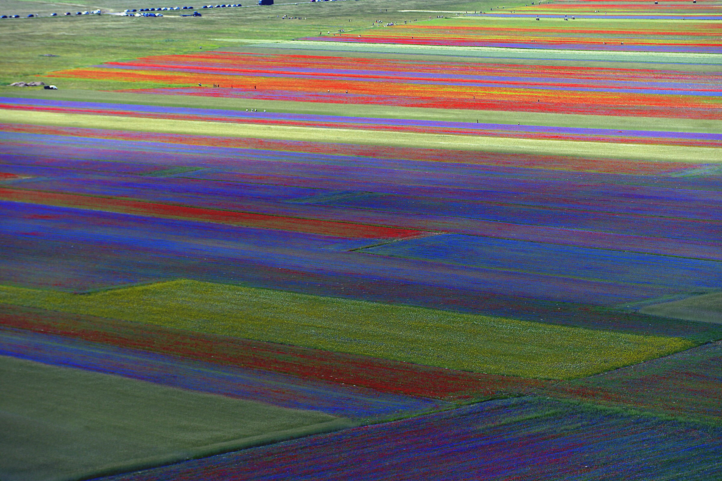 Castelluccio