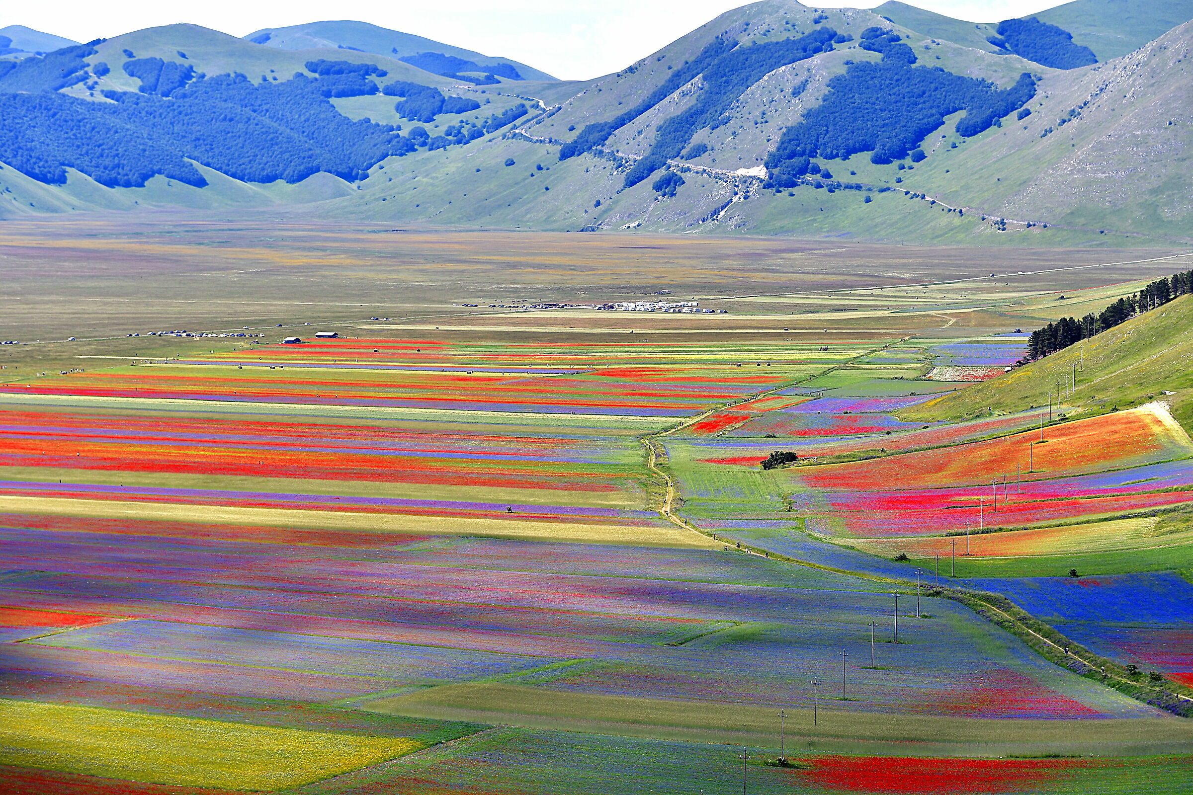 Castelluccio