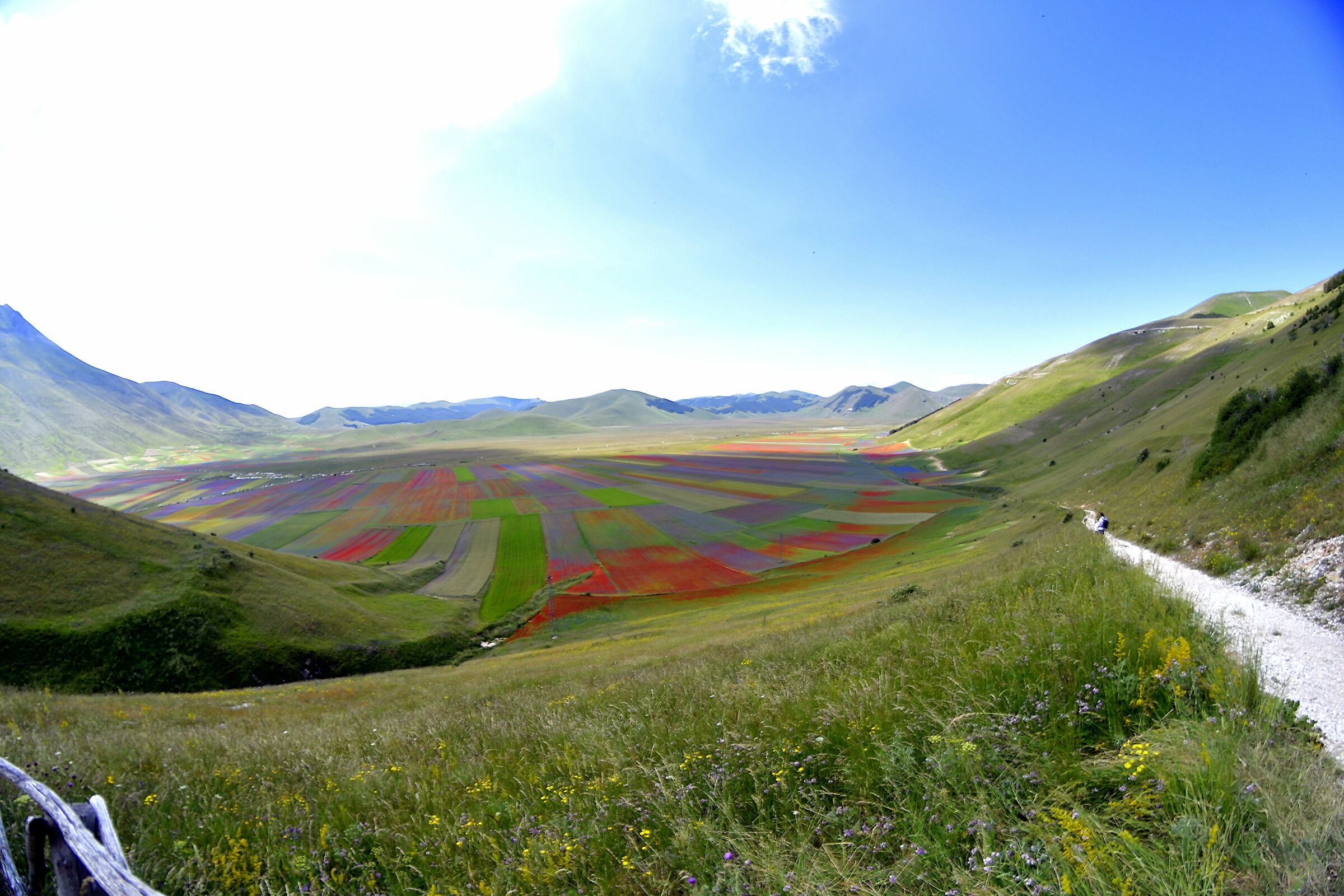 Castelluccio