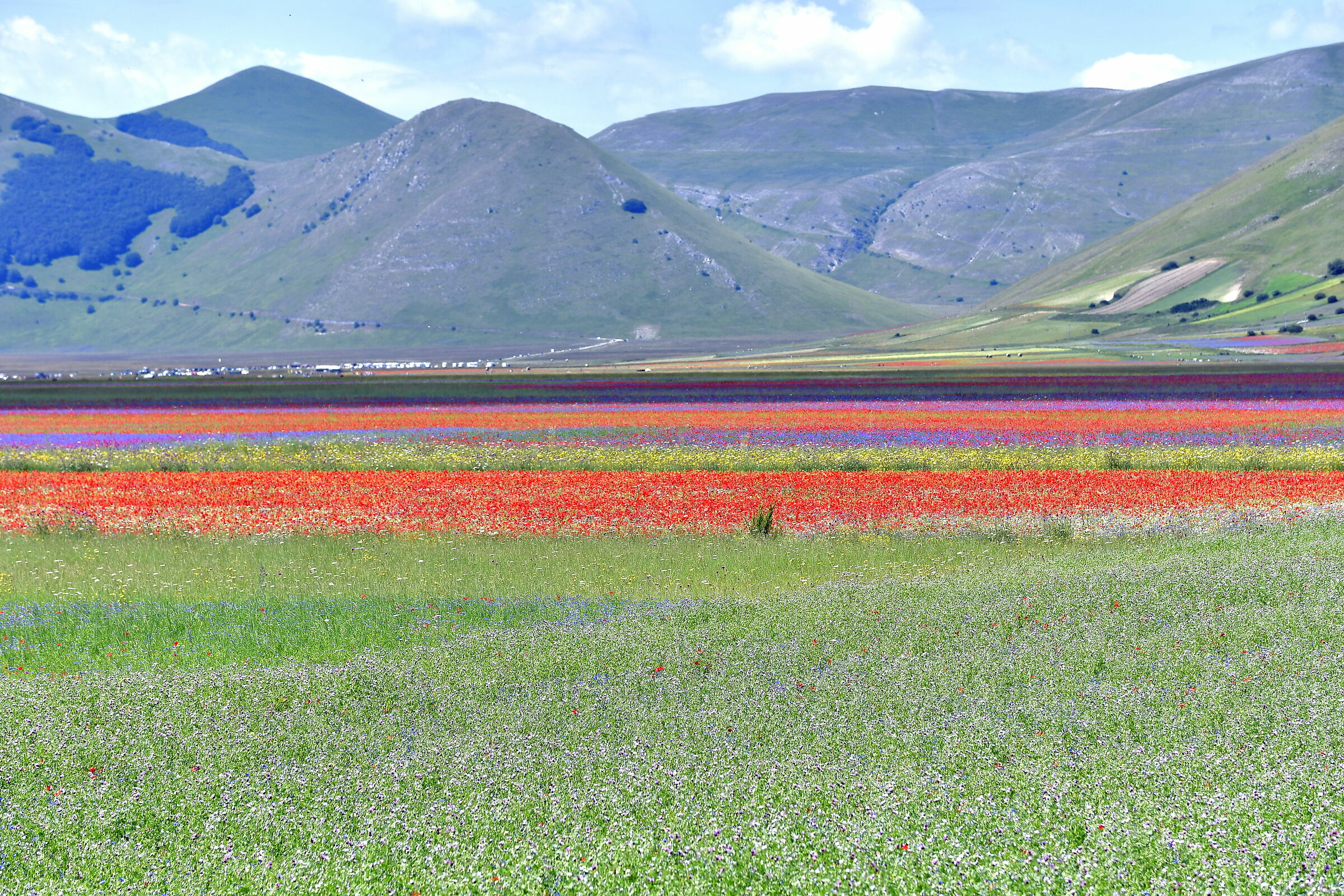 Castelluccio