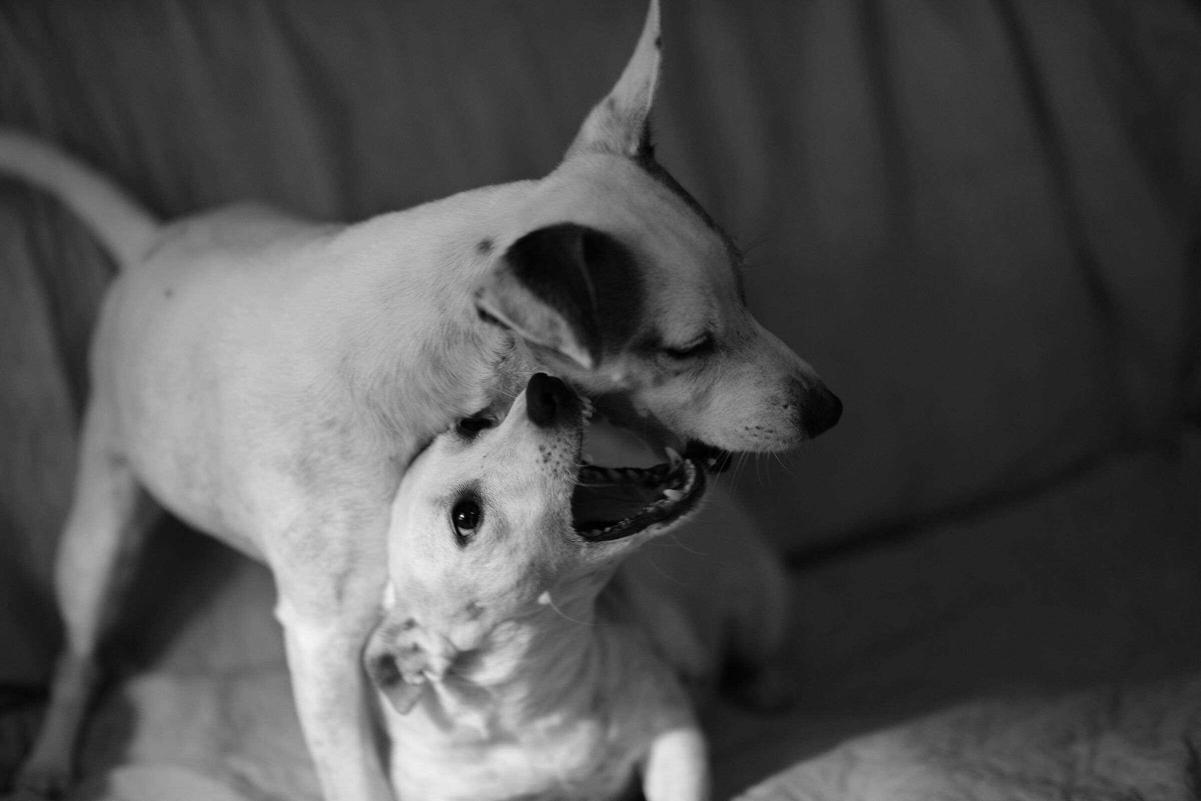 watch out for those two