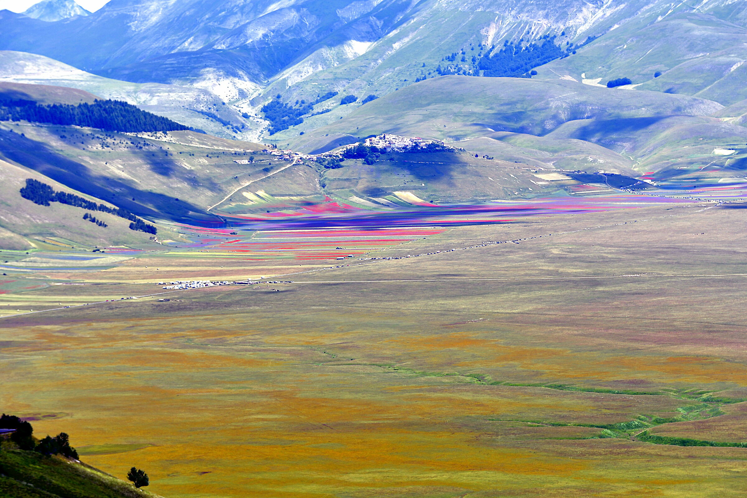Castelluccio