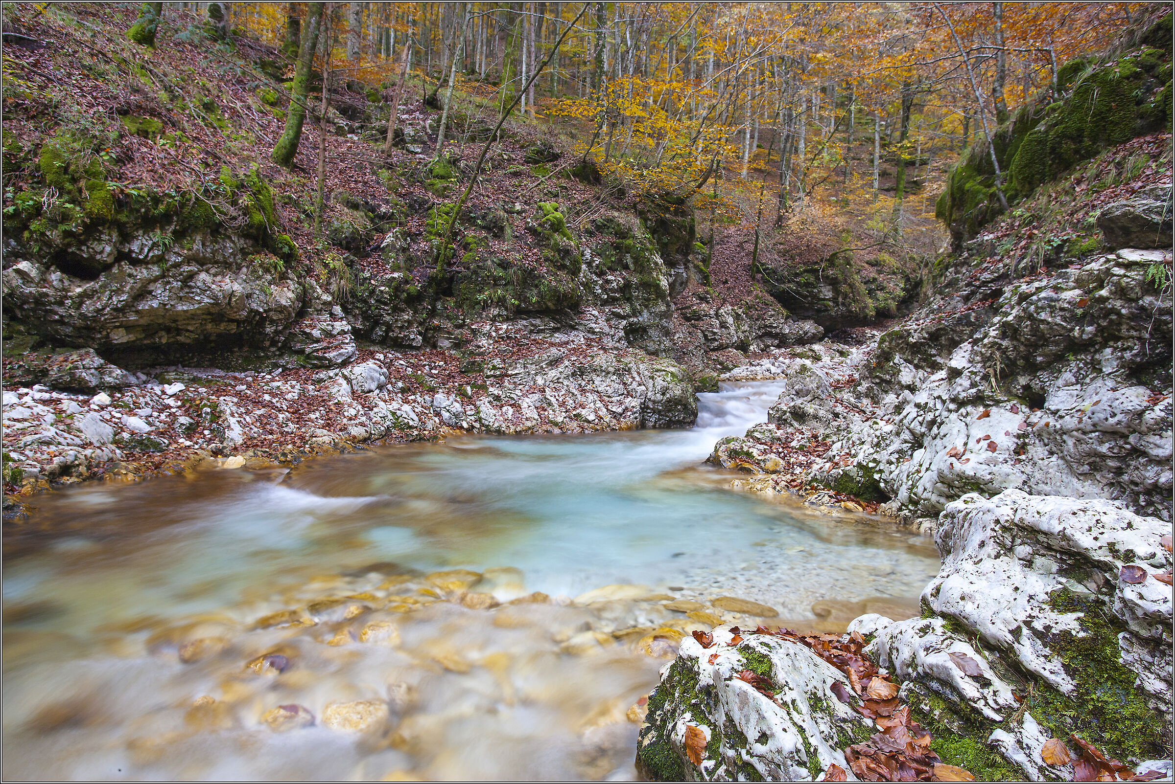torrente Arzino