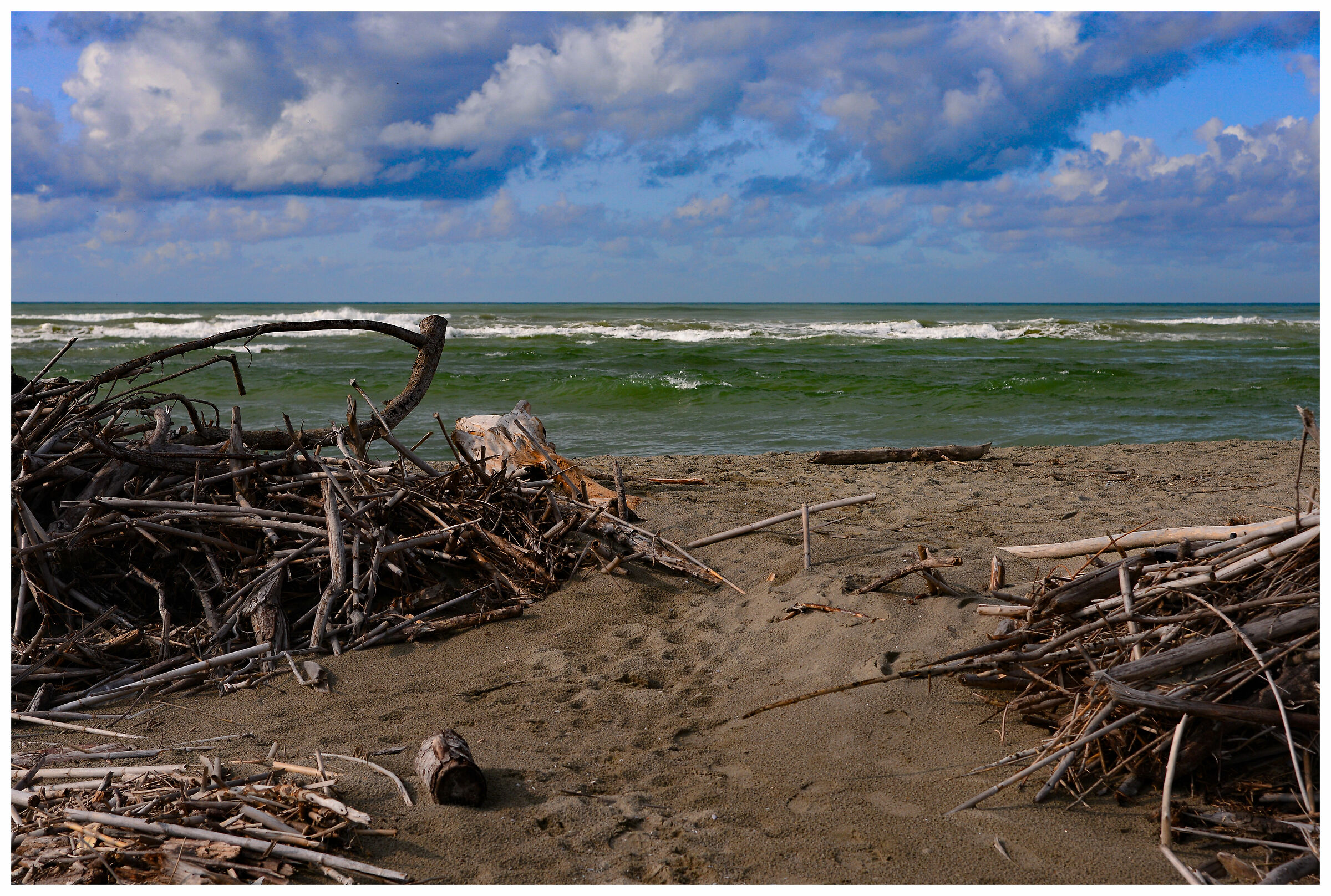 mouth of the Serchio