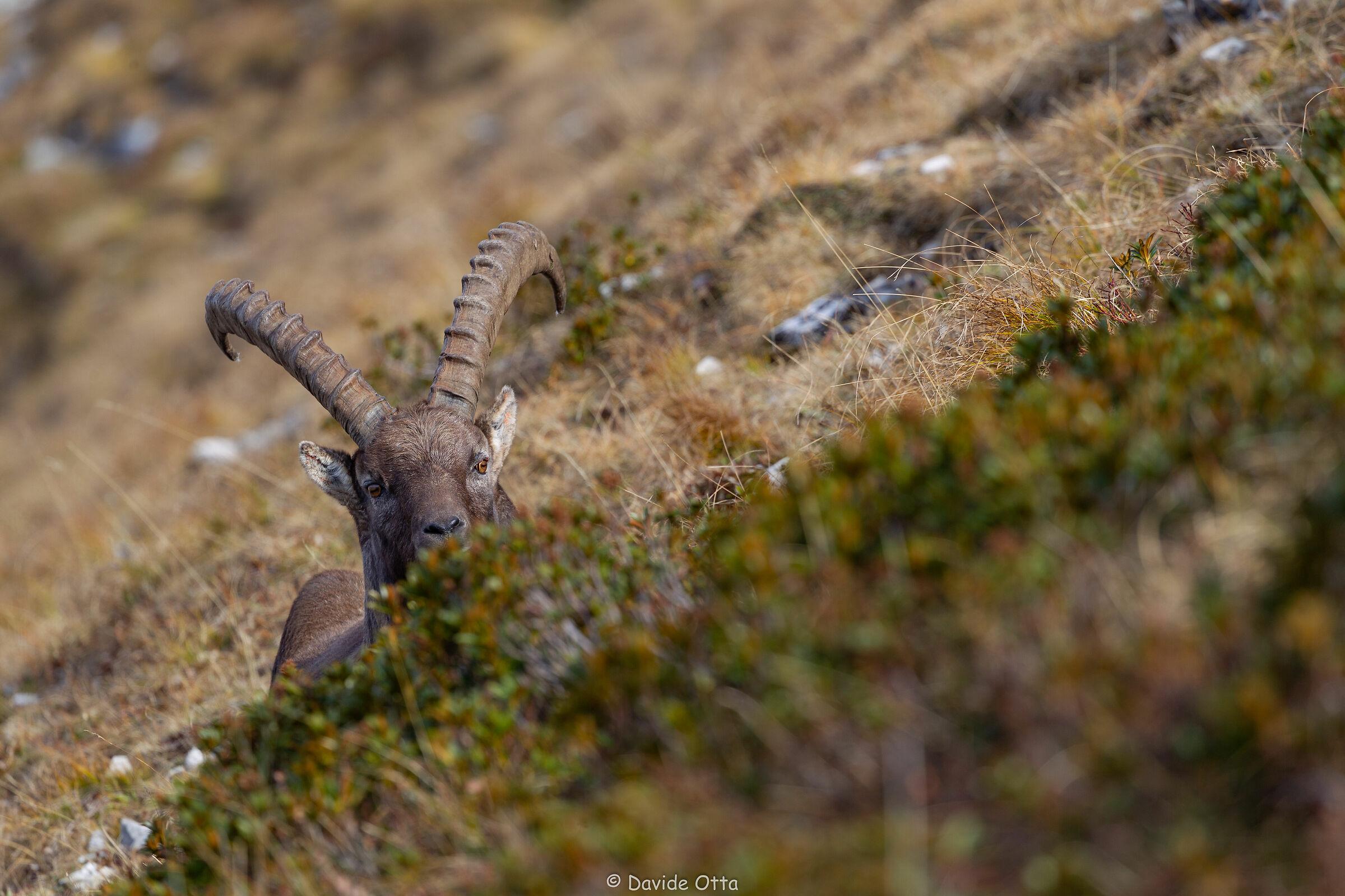 Prendendo uno degli ultimi raggi autunnali