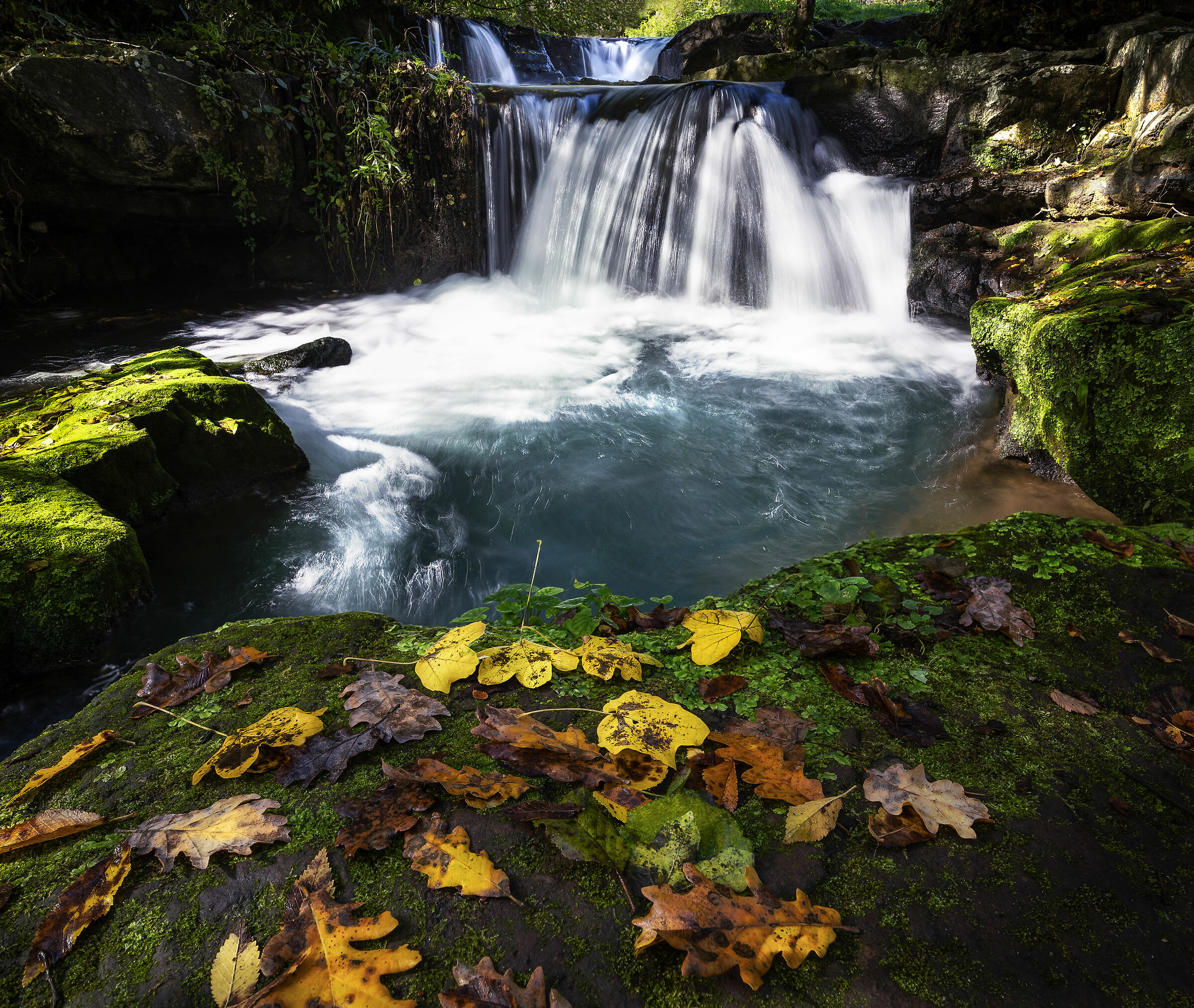 Autumn