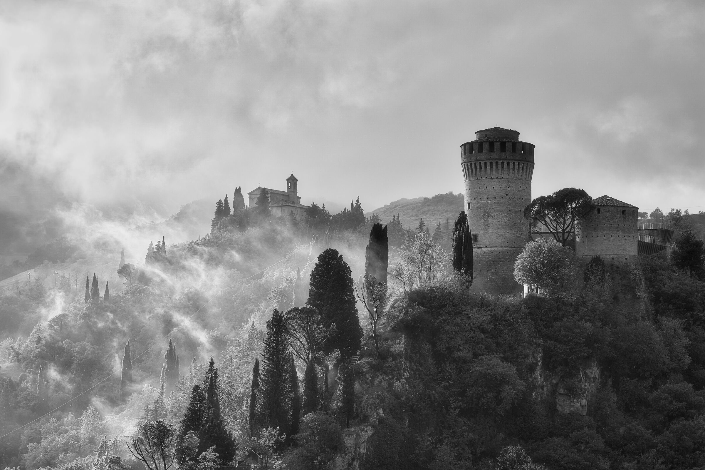 A ray of sunshine after the rain