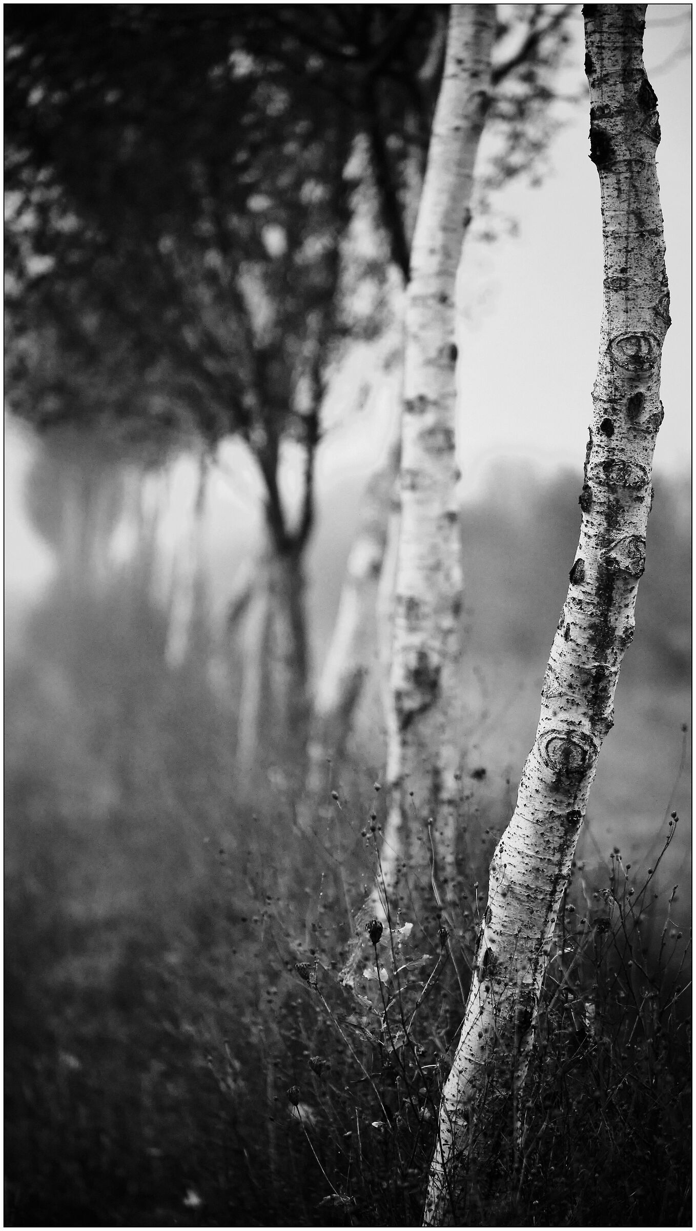 Long way by quarrying