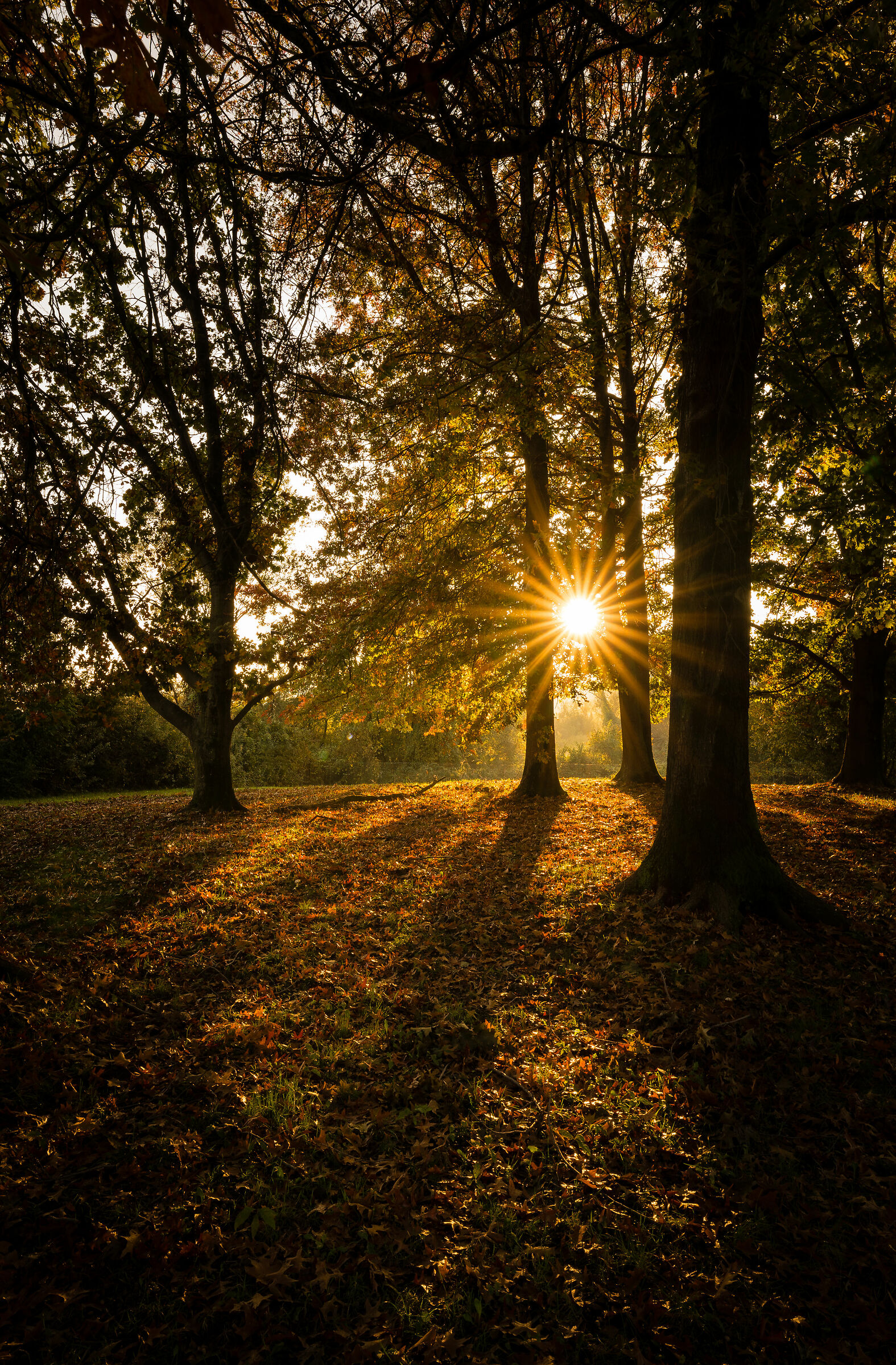 Autunno
