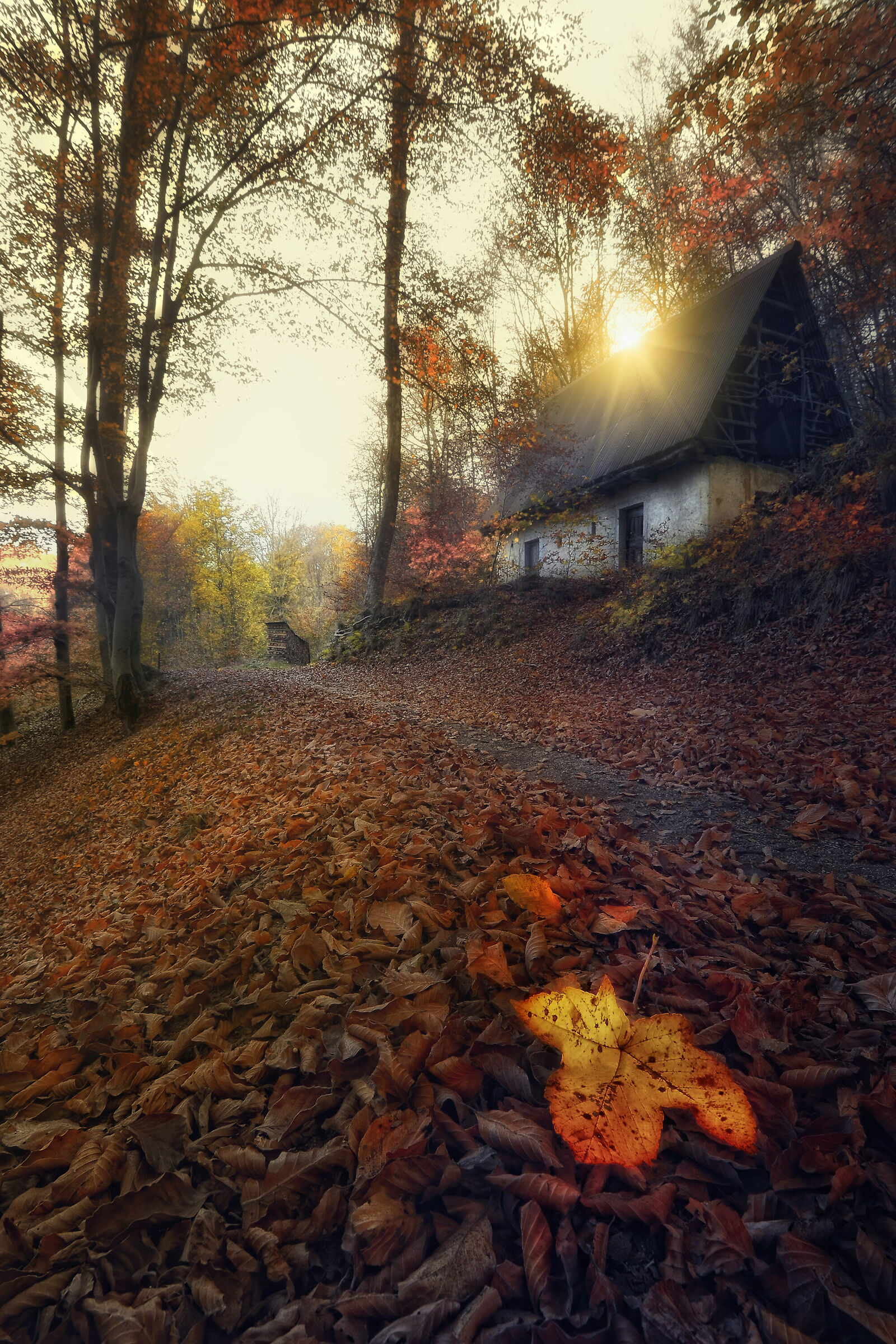 Between light and dim light