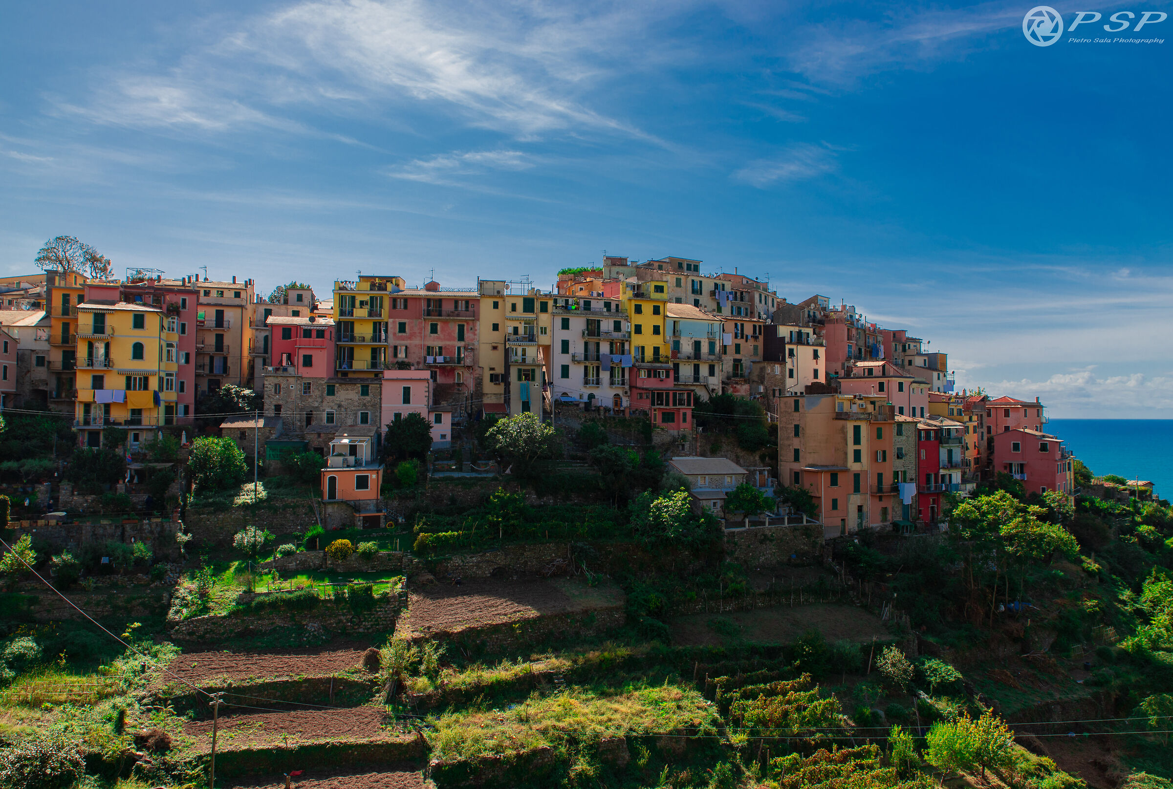 Horns between lights and shadows