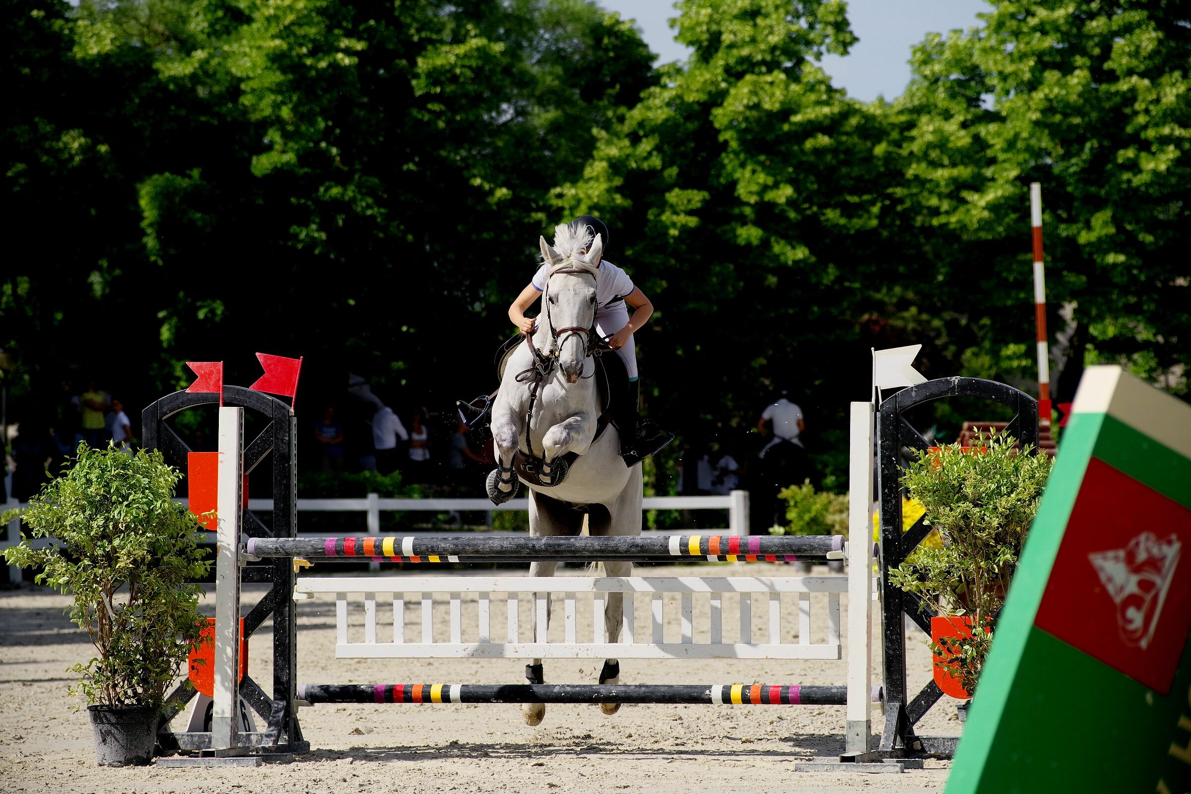 Jumping