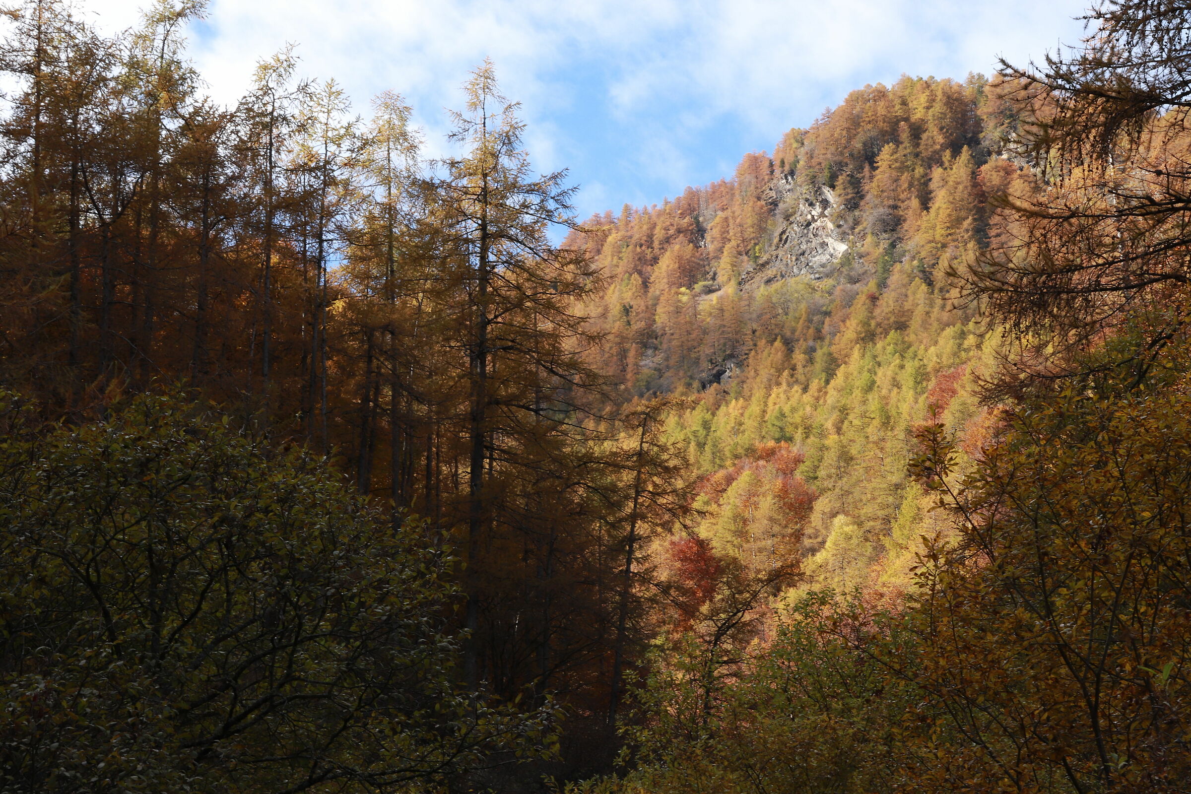 the colors of autumn 4