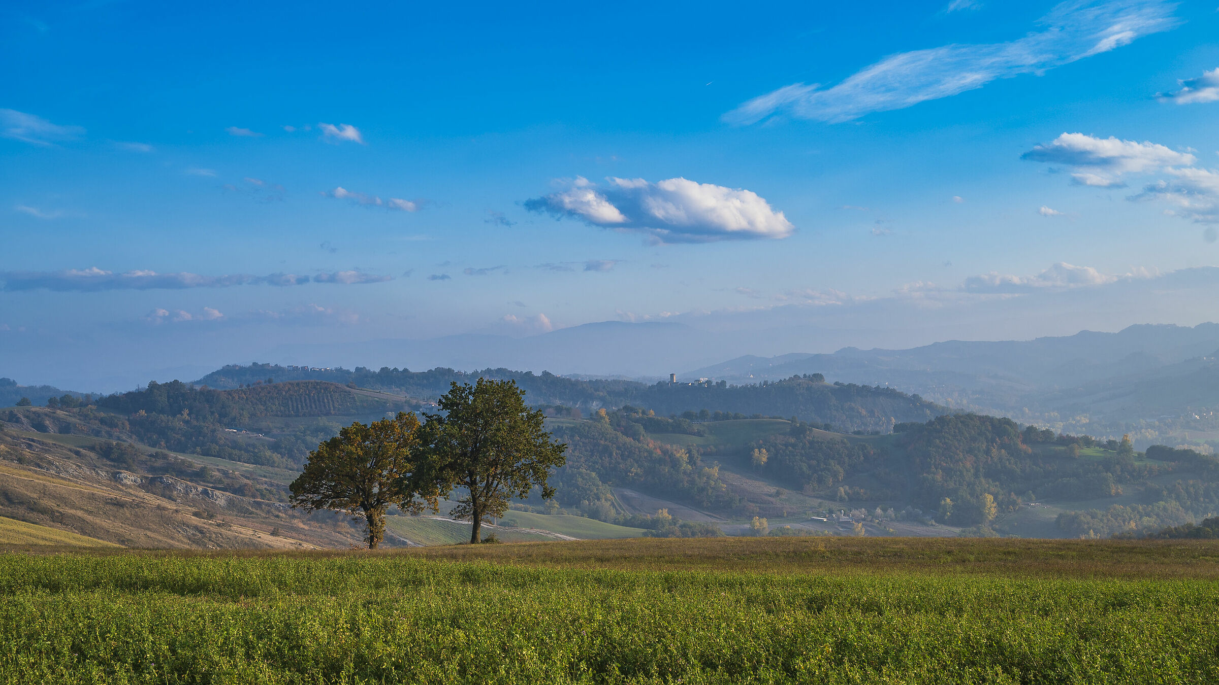 Appennino Reggiano