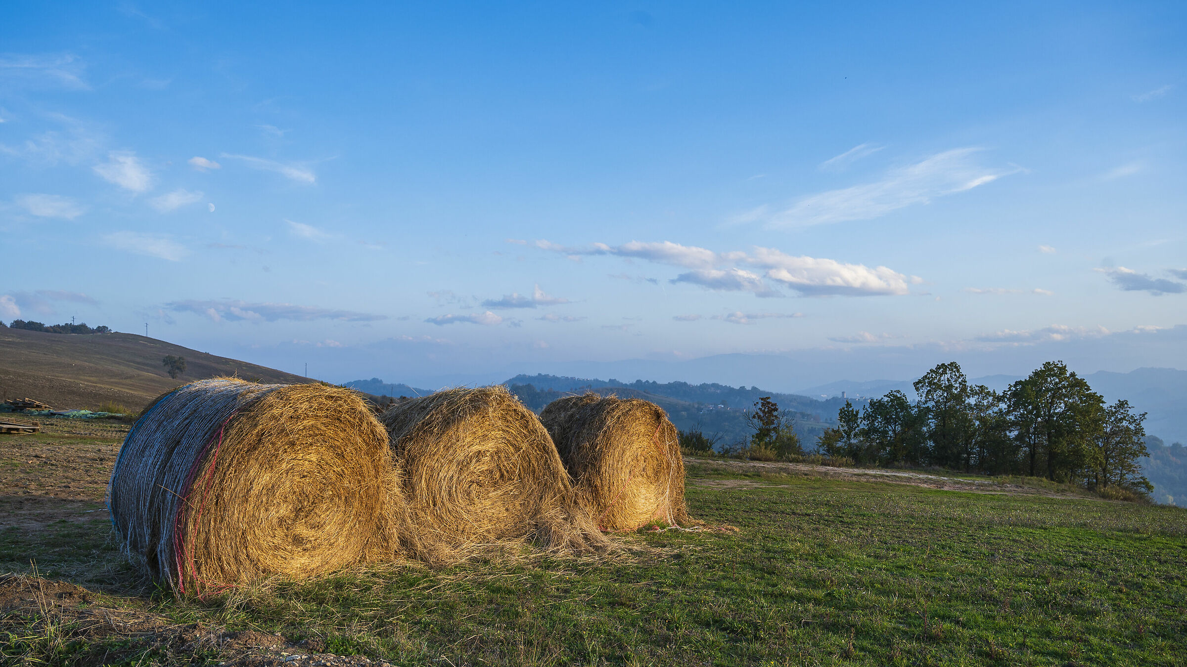Appennino Reggiano