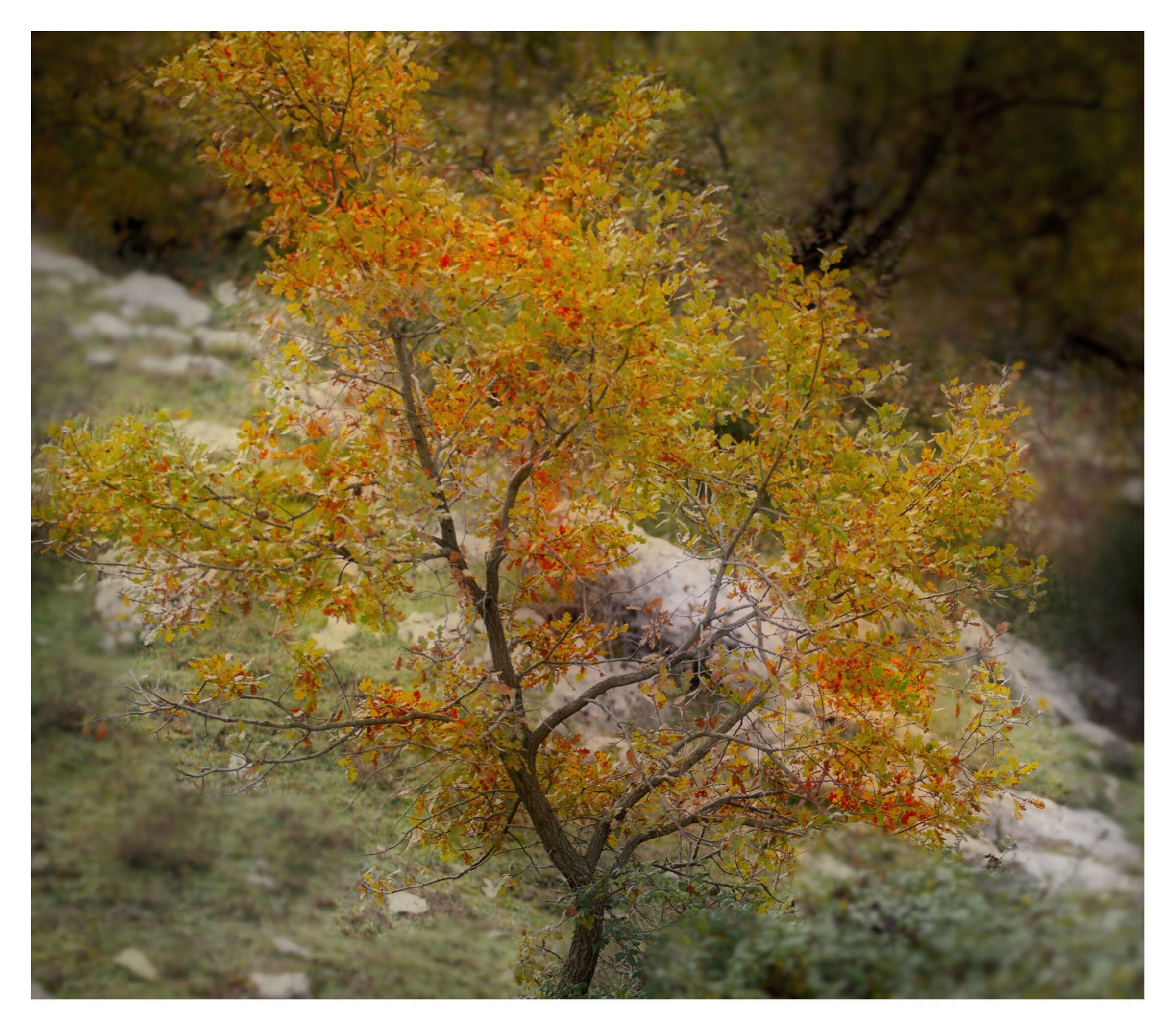 La luce diversa dell'autunno