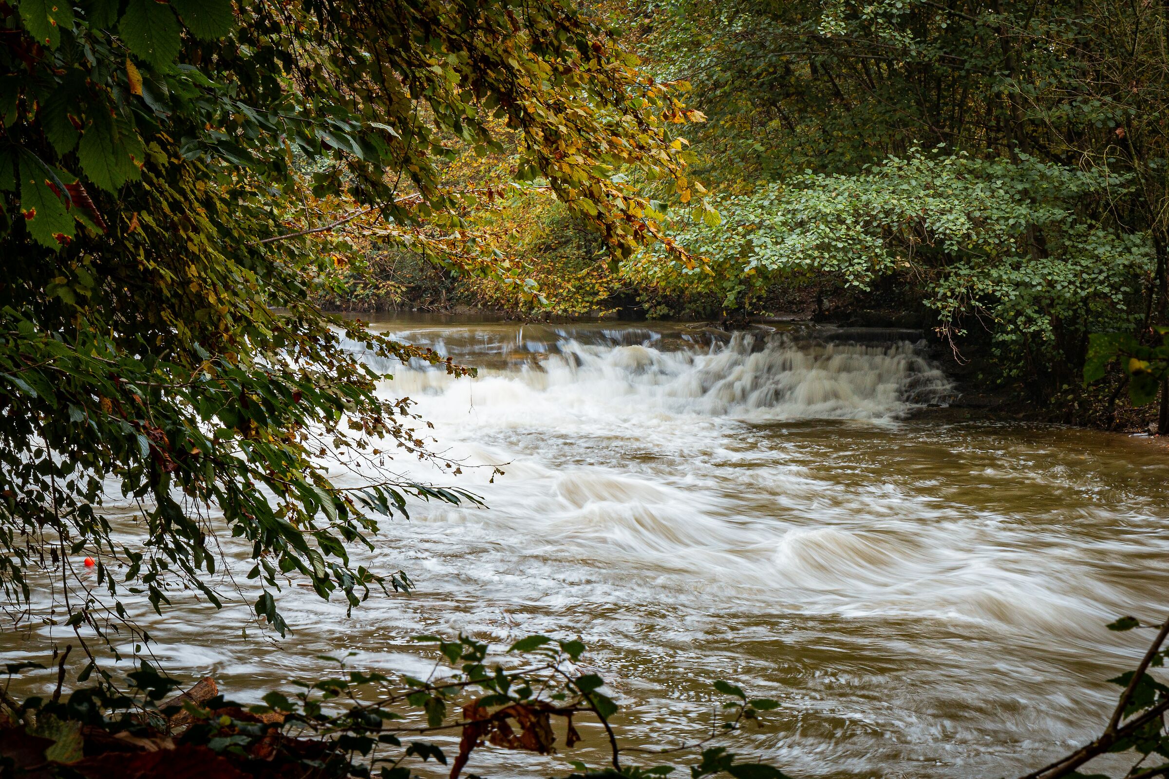 Parco Villa Reale Monza