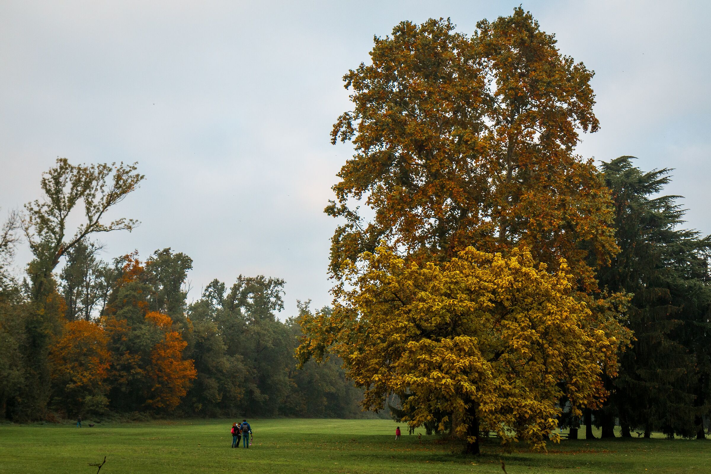 Parco Villa Reale Monza