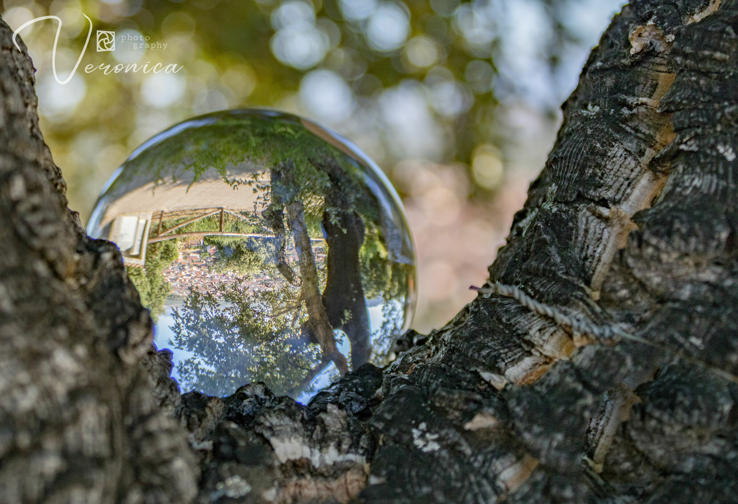 Gonnos in una lensball