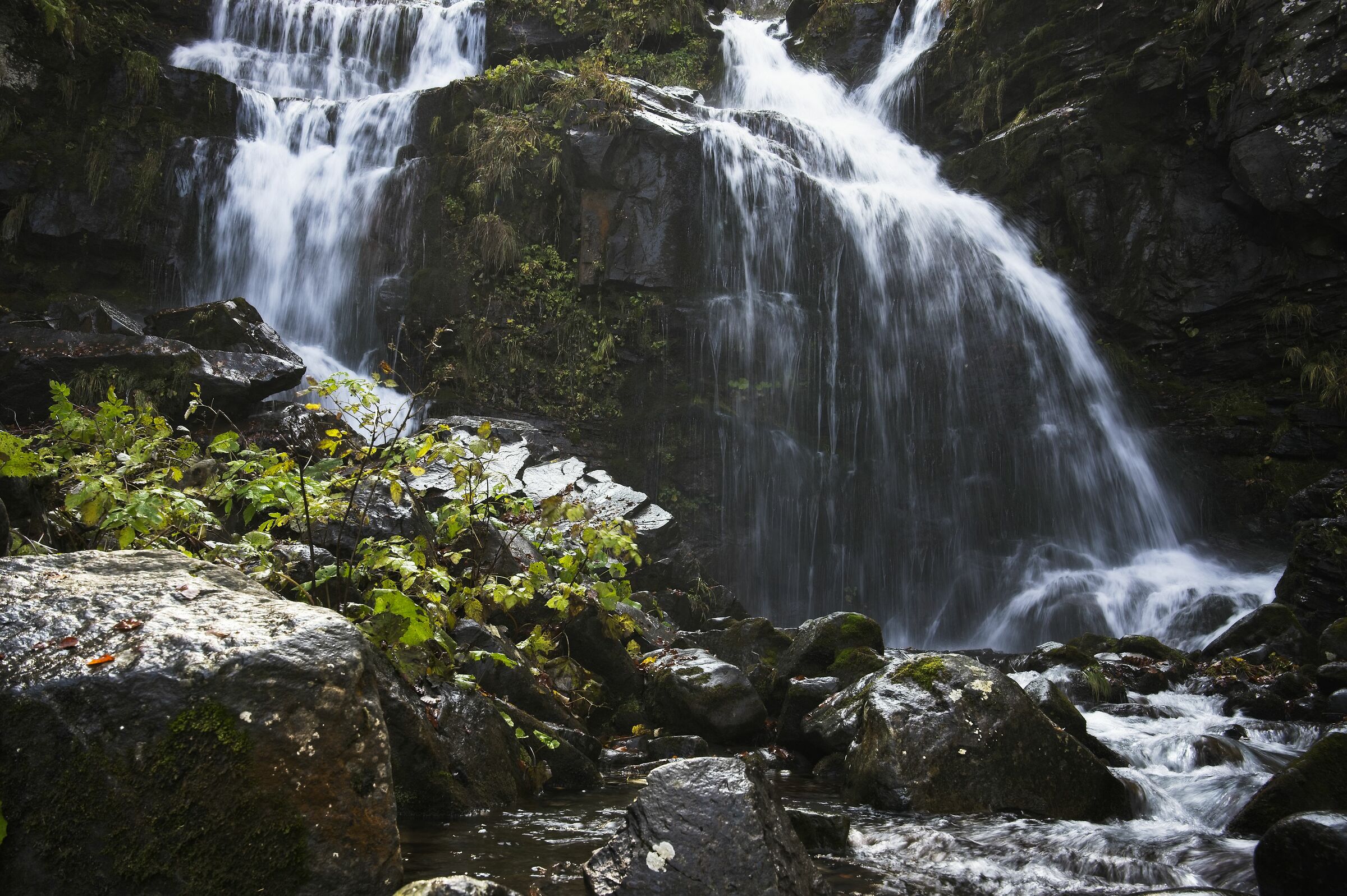 Dardagna Municipality