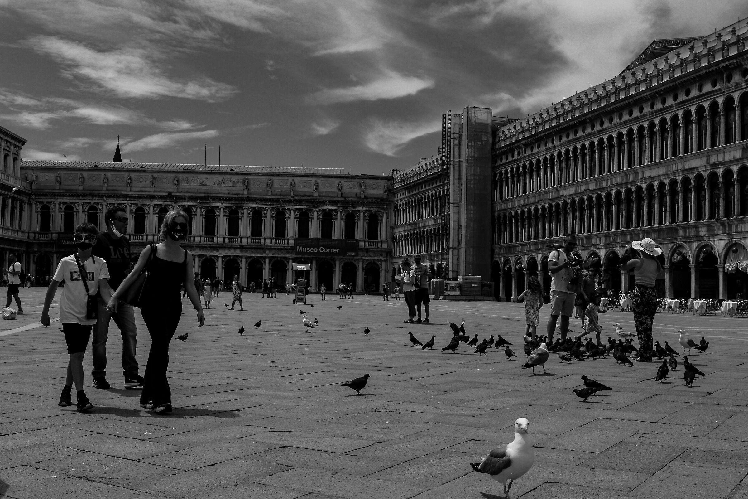 St. Mark's Square