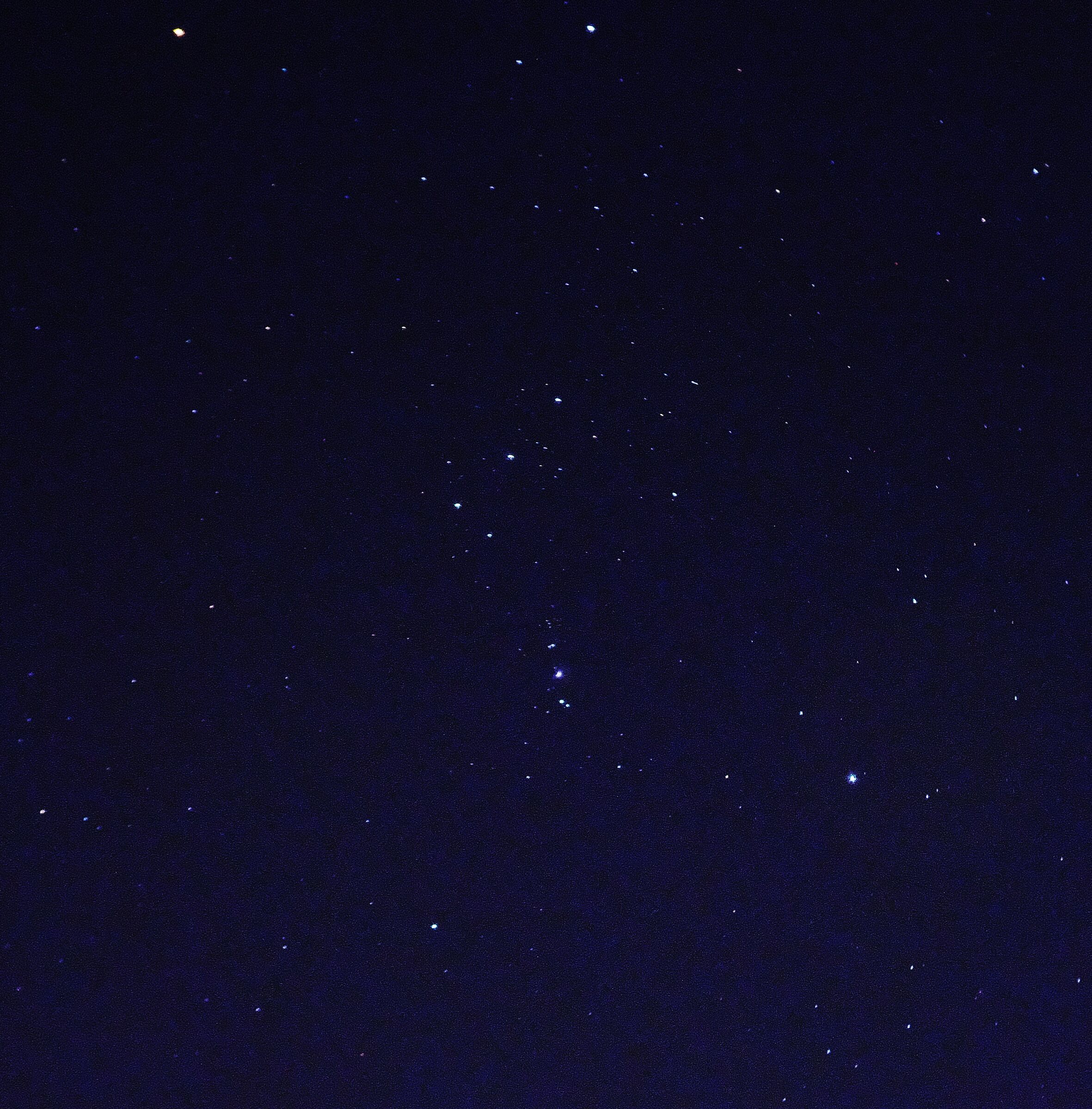 Costellazione di Orione