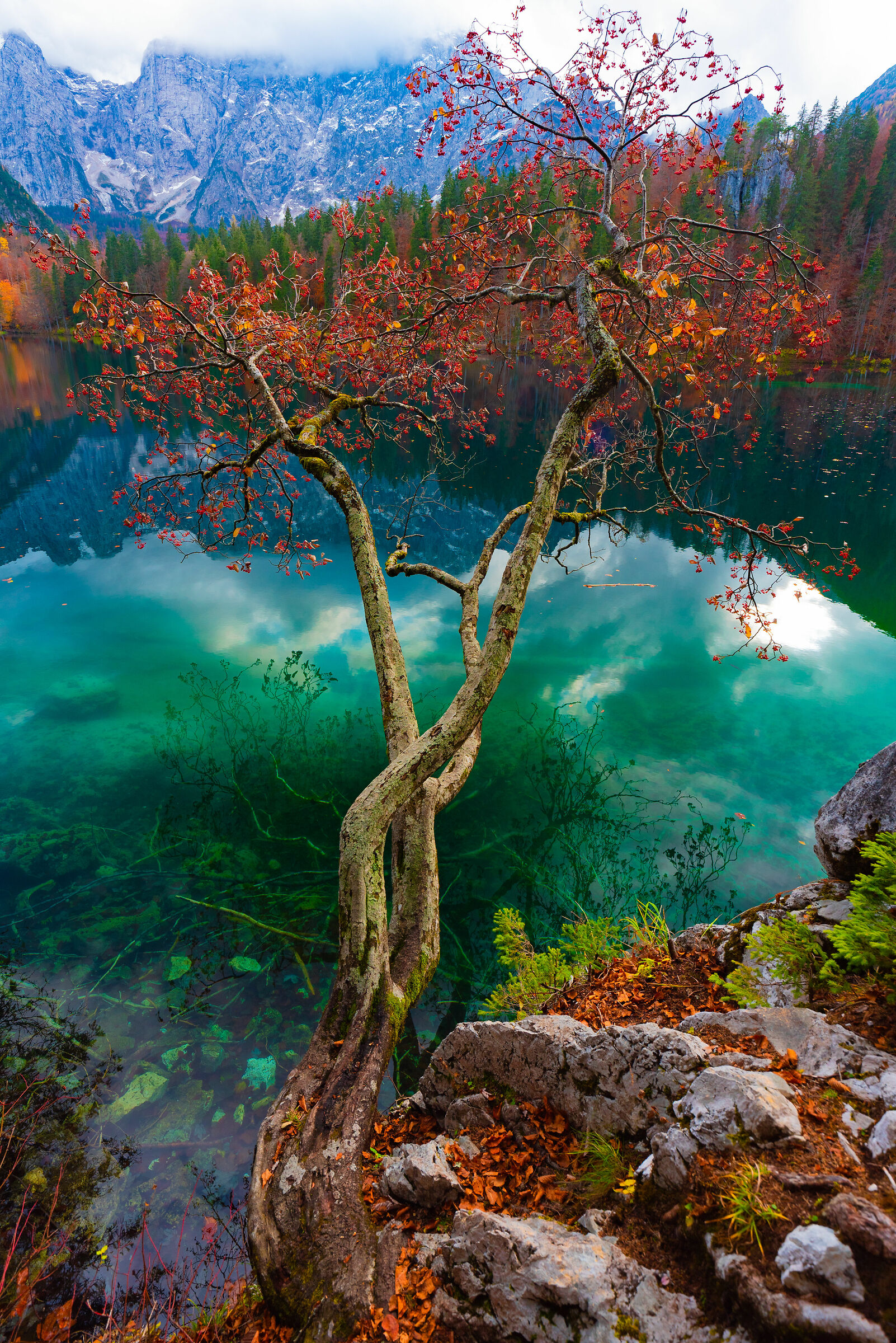 Colori autunnali sul lago