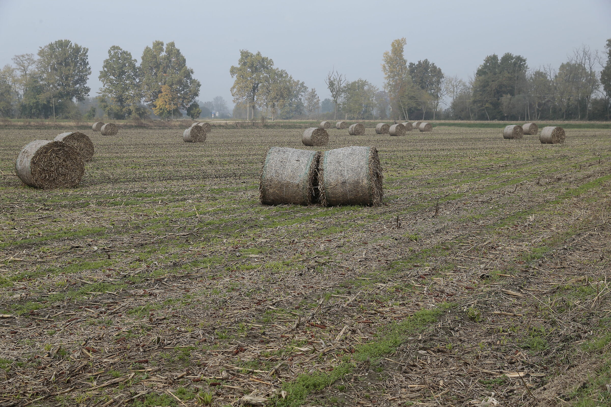 THEY'RE ALL BULLSHIDS....