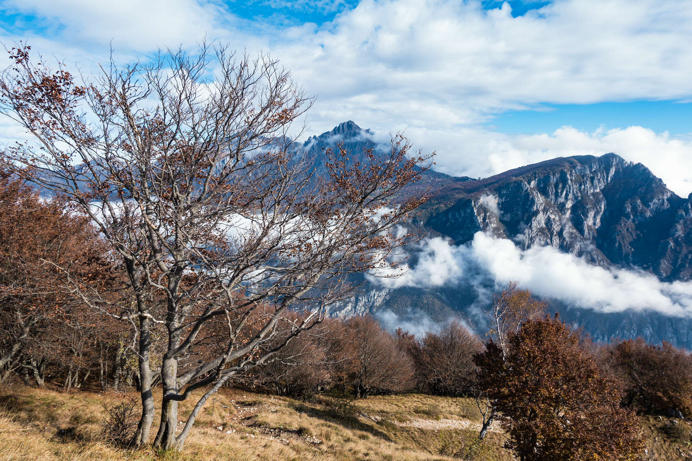 paesaggio prealpino autunnale