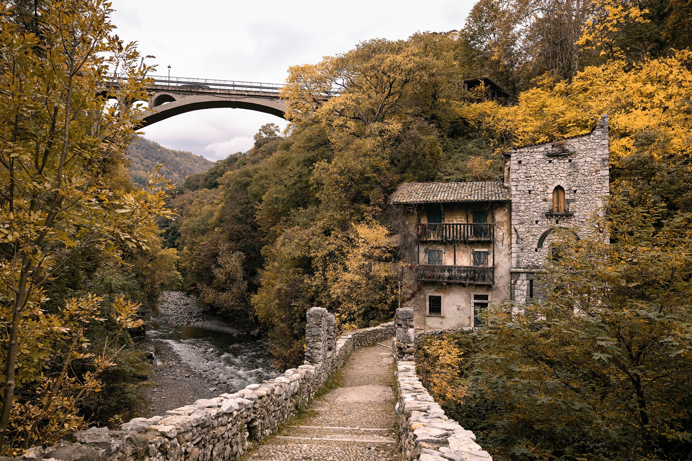 Autumn colors