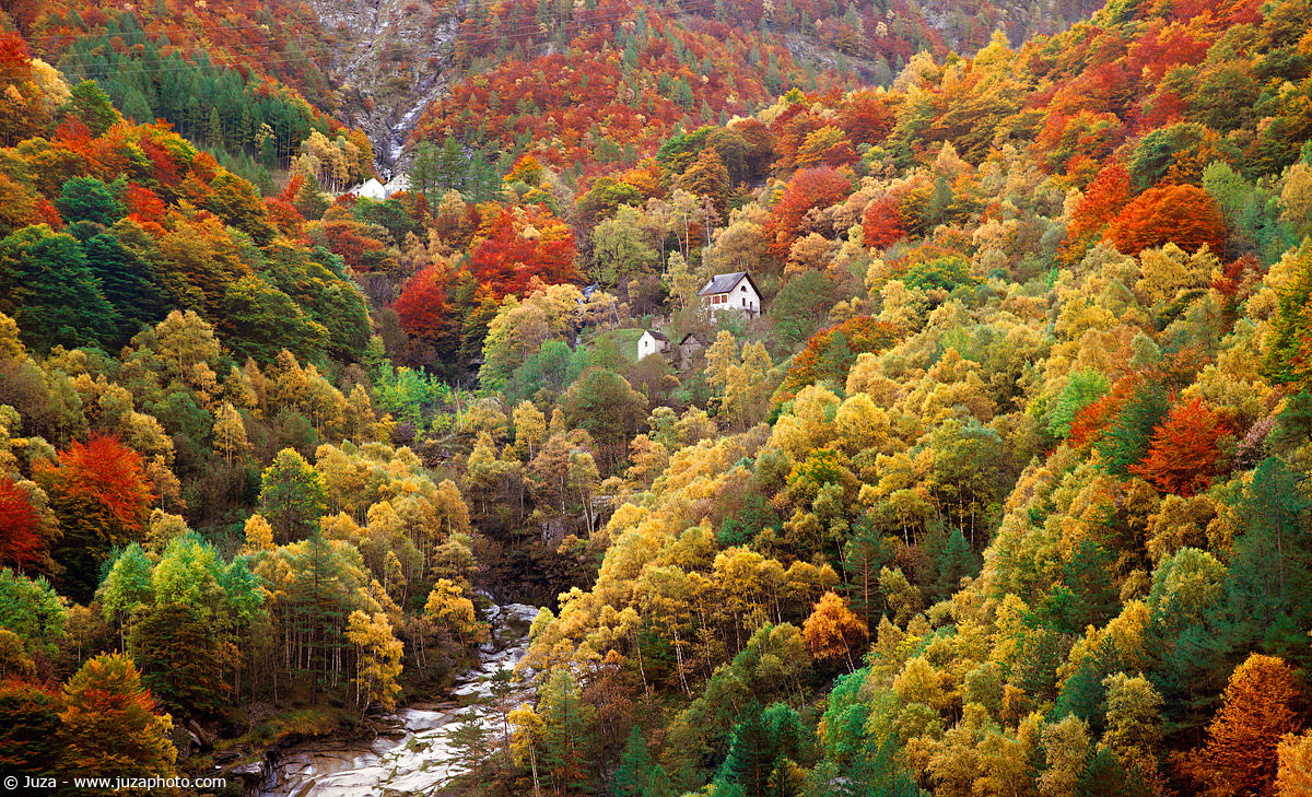 Fall colors, 008,678