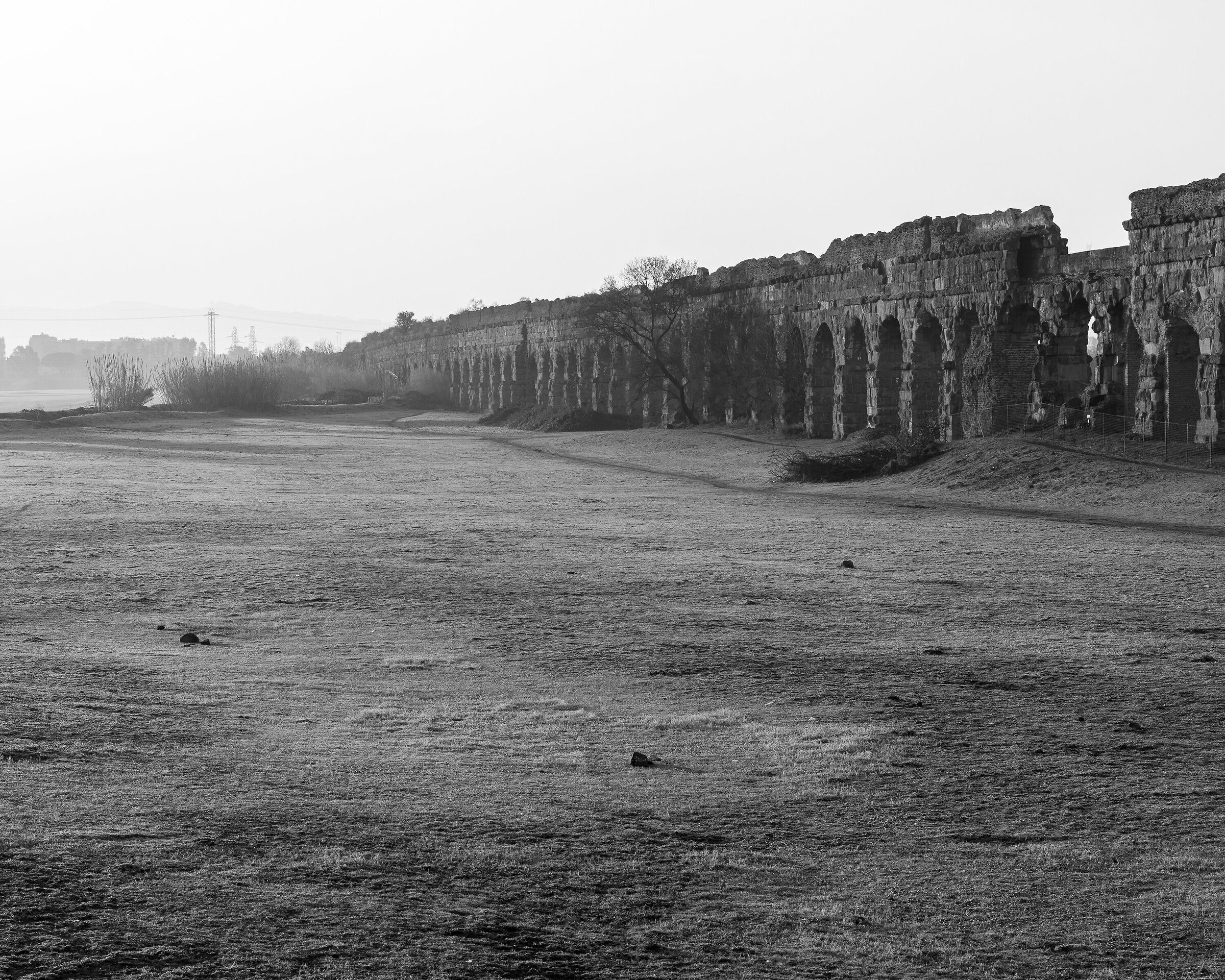Parco degli Acquedotti - mattinata nebbiosa